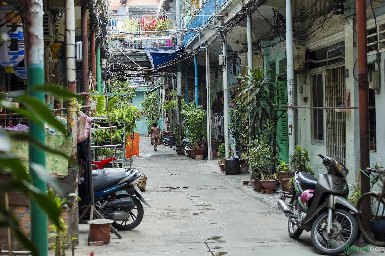 Hao Si Phuong anh 16