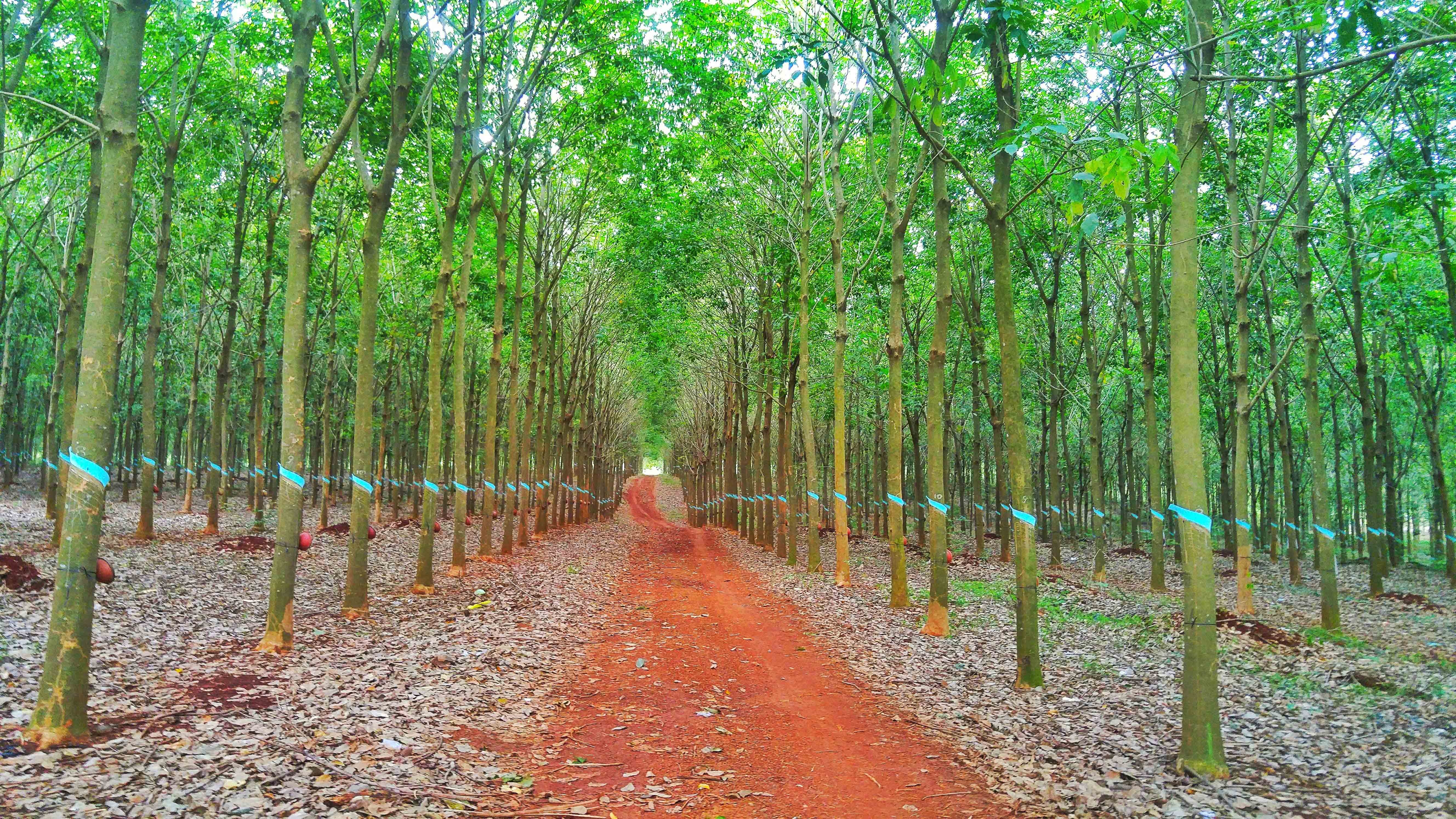 Cung đường biển Nam Trung Bộ ảnh 1 Cung duong bien Nam Trung Bo anh 1