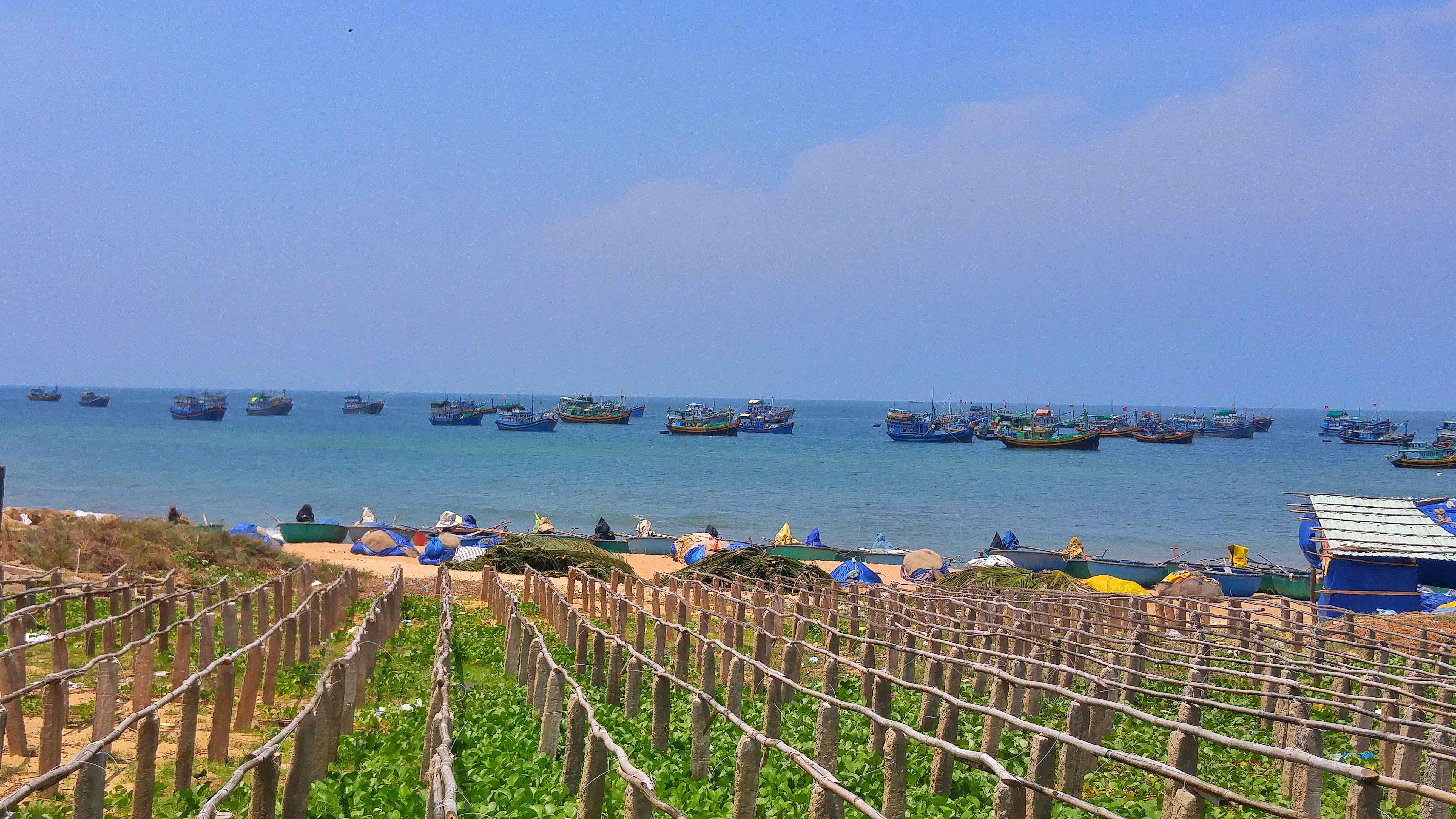 Cung đường biển Nam Trung Bộ ảnh 8 Cung duong bien Nam Trung Bo anh 8