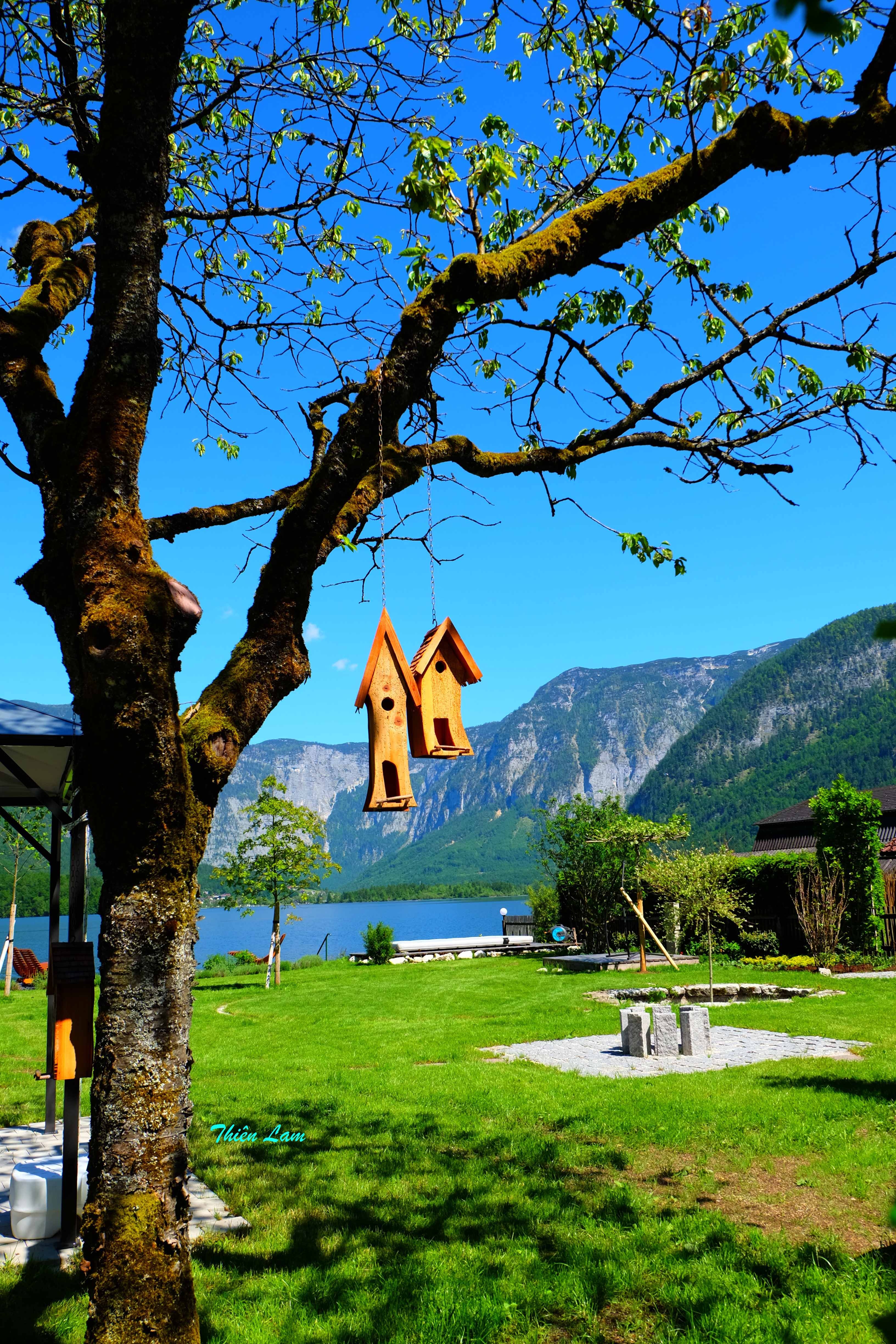 Thi tran co nhat Chau Au anh 6