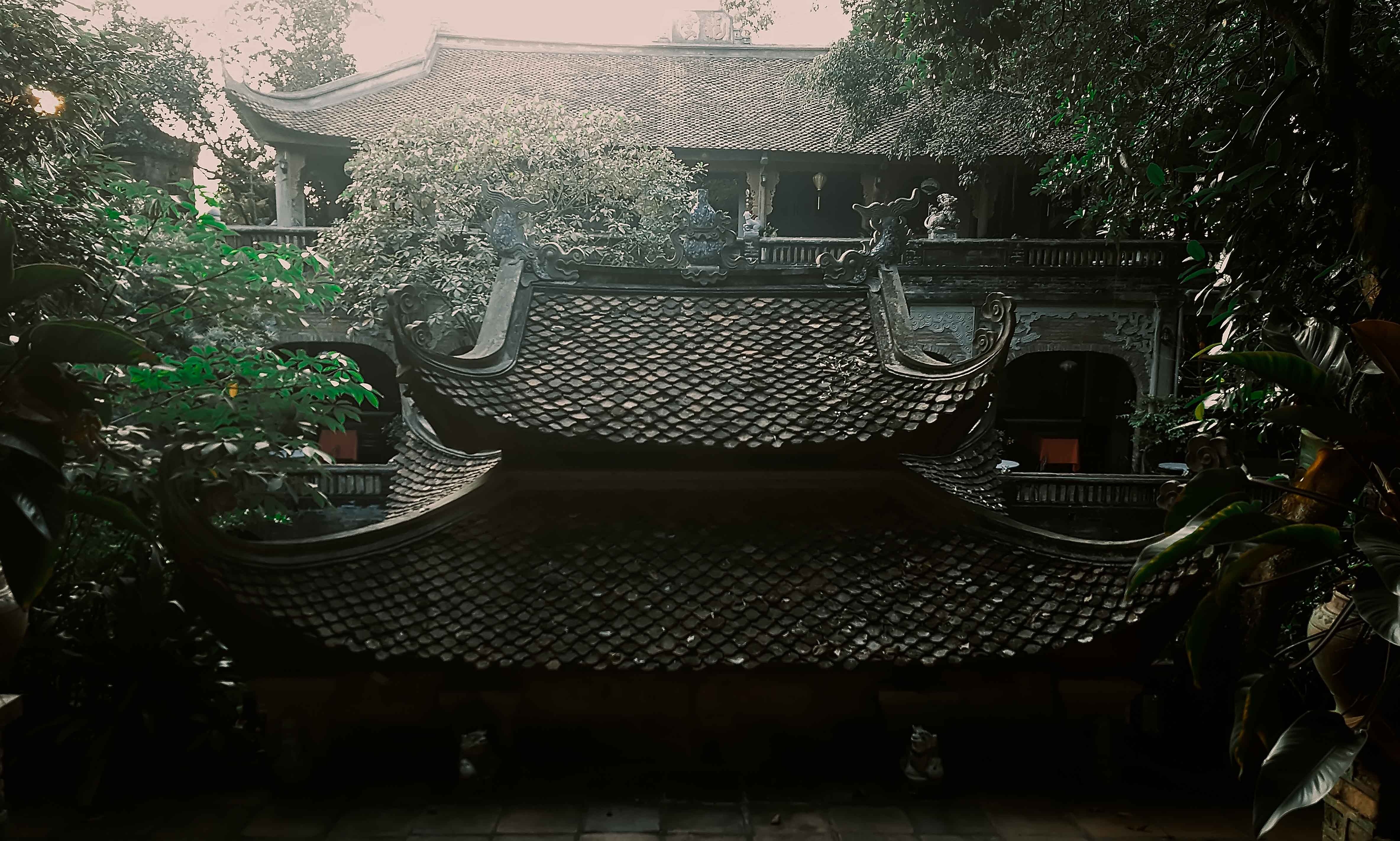 Viet Phu Thanh Chuong anh 13