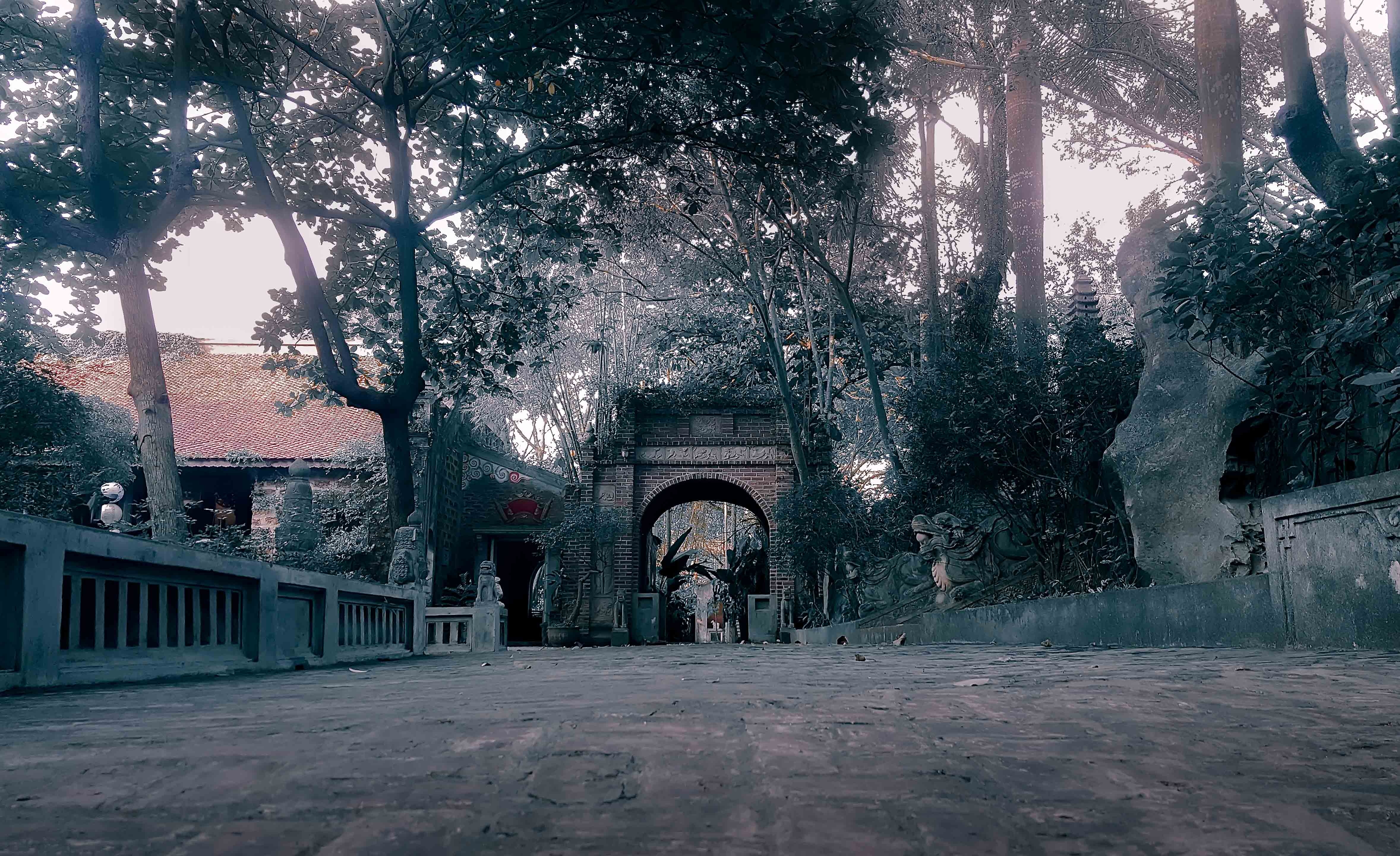 Viet Phu Thanh Chuong anh 6