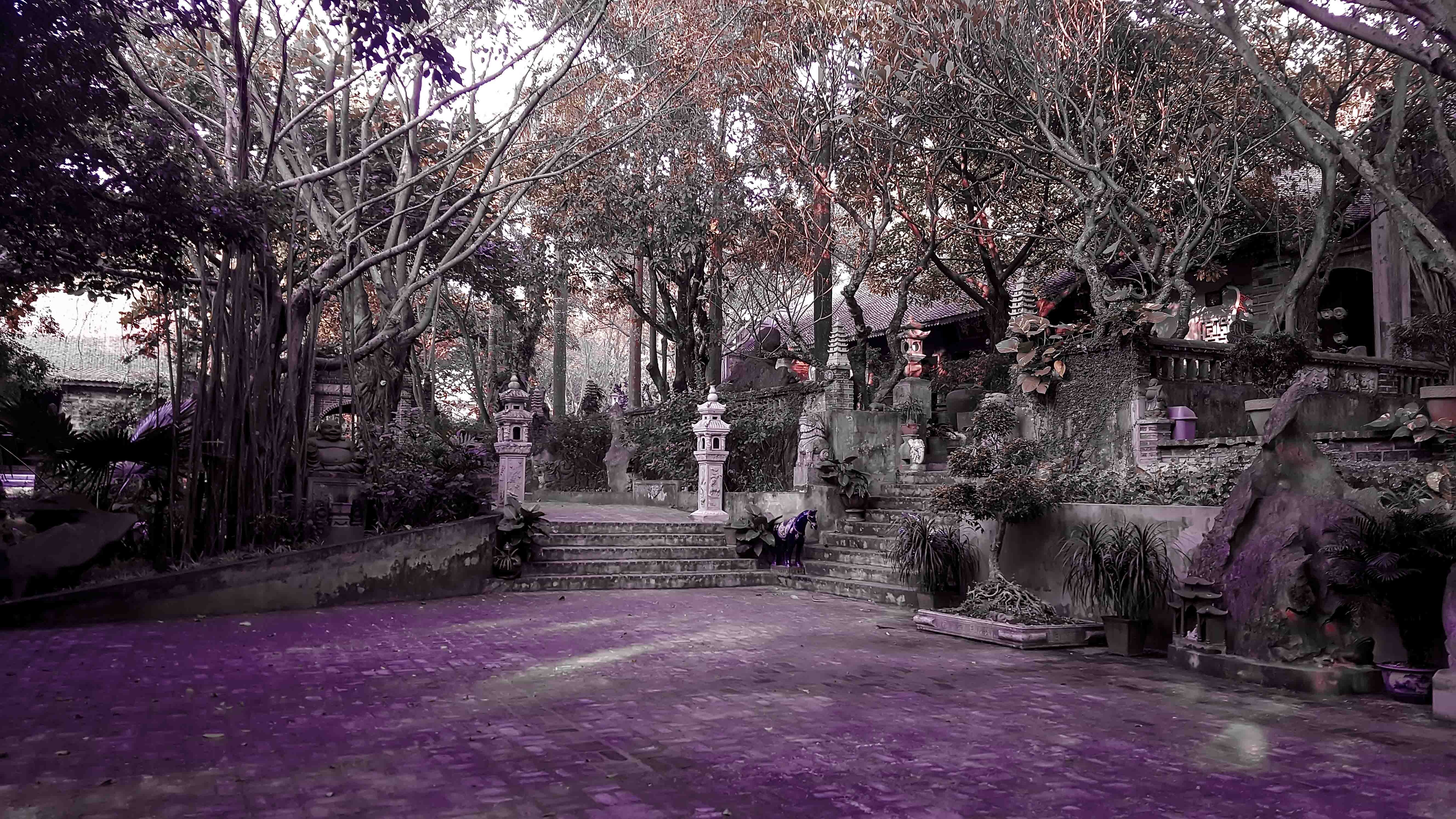 Viet Phu Thanh Chuong anh 20