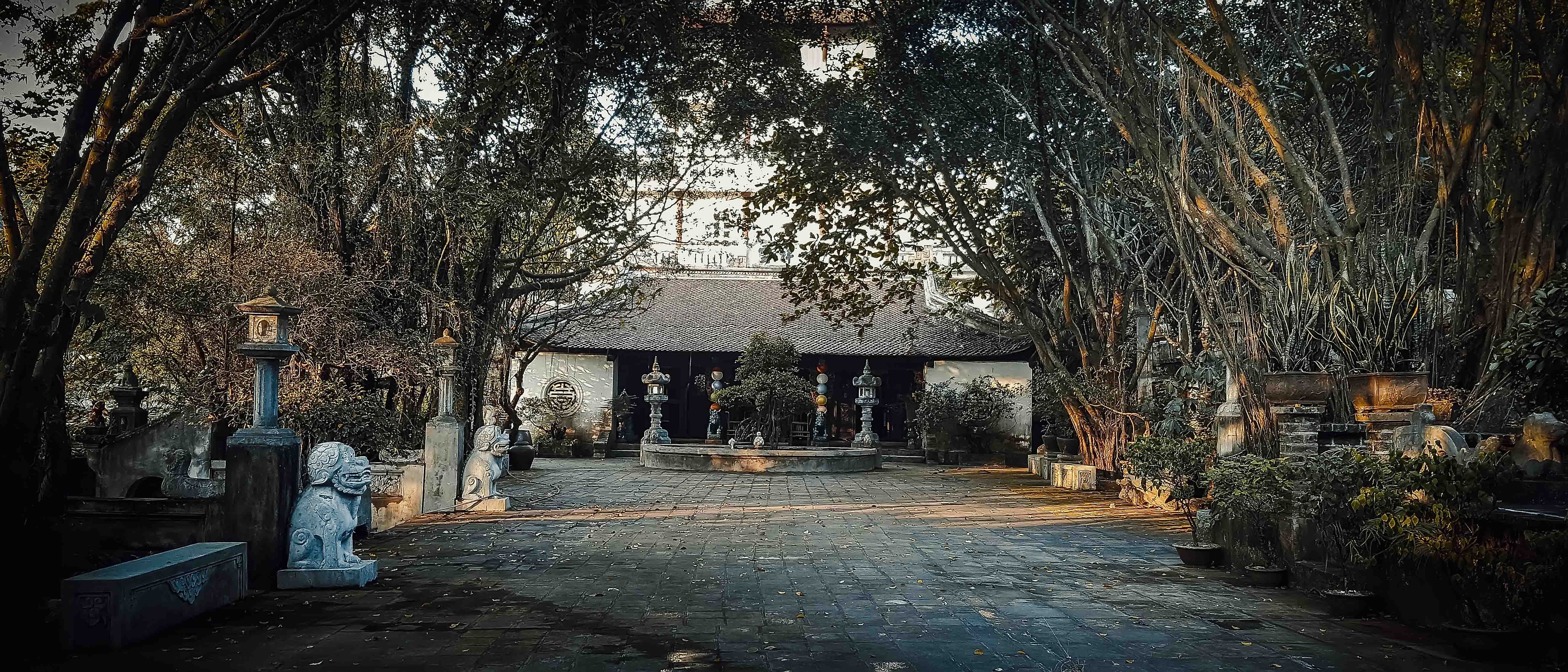 Viet Phu Thanh Chuong anh 21