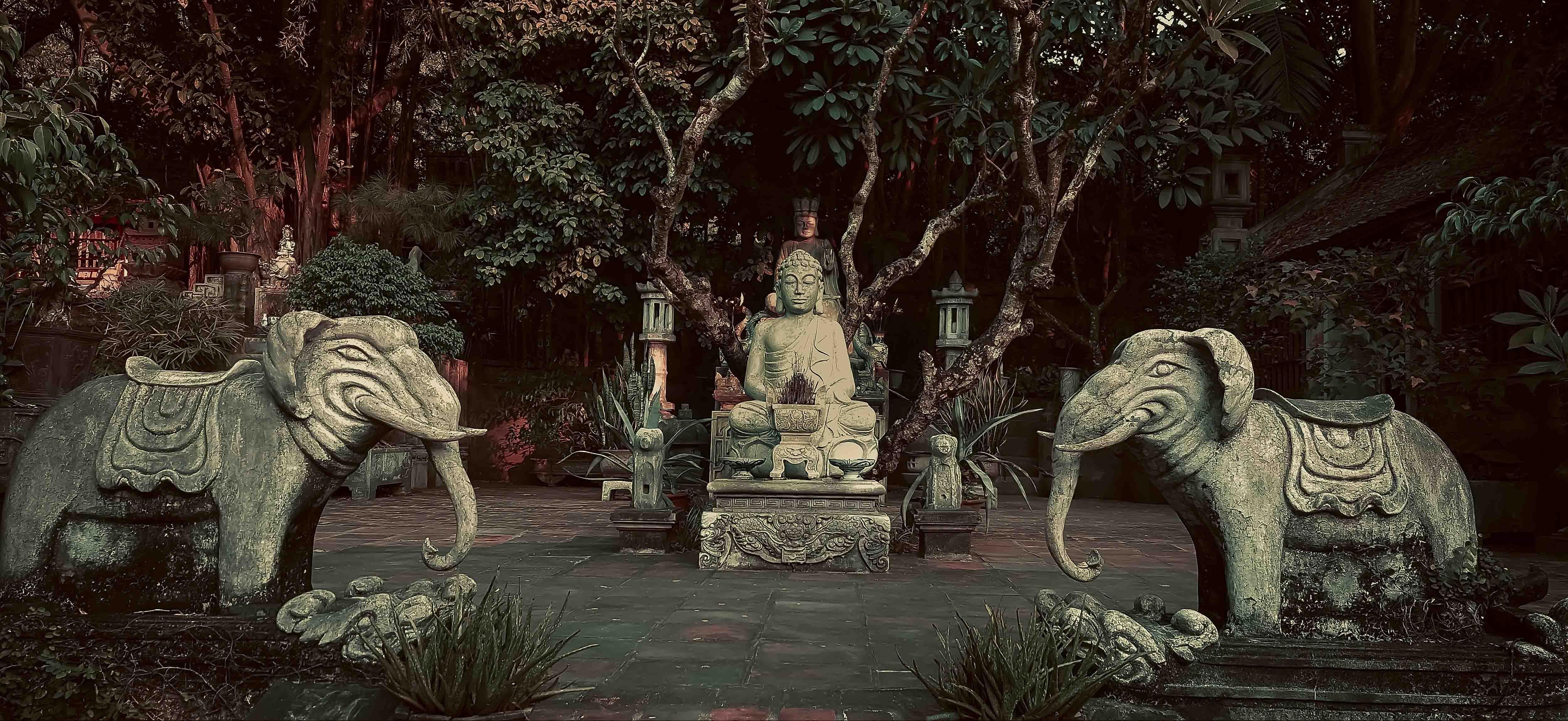 Viet Phu Thanh Chuong anh 17