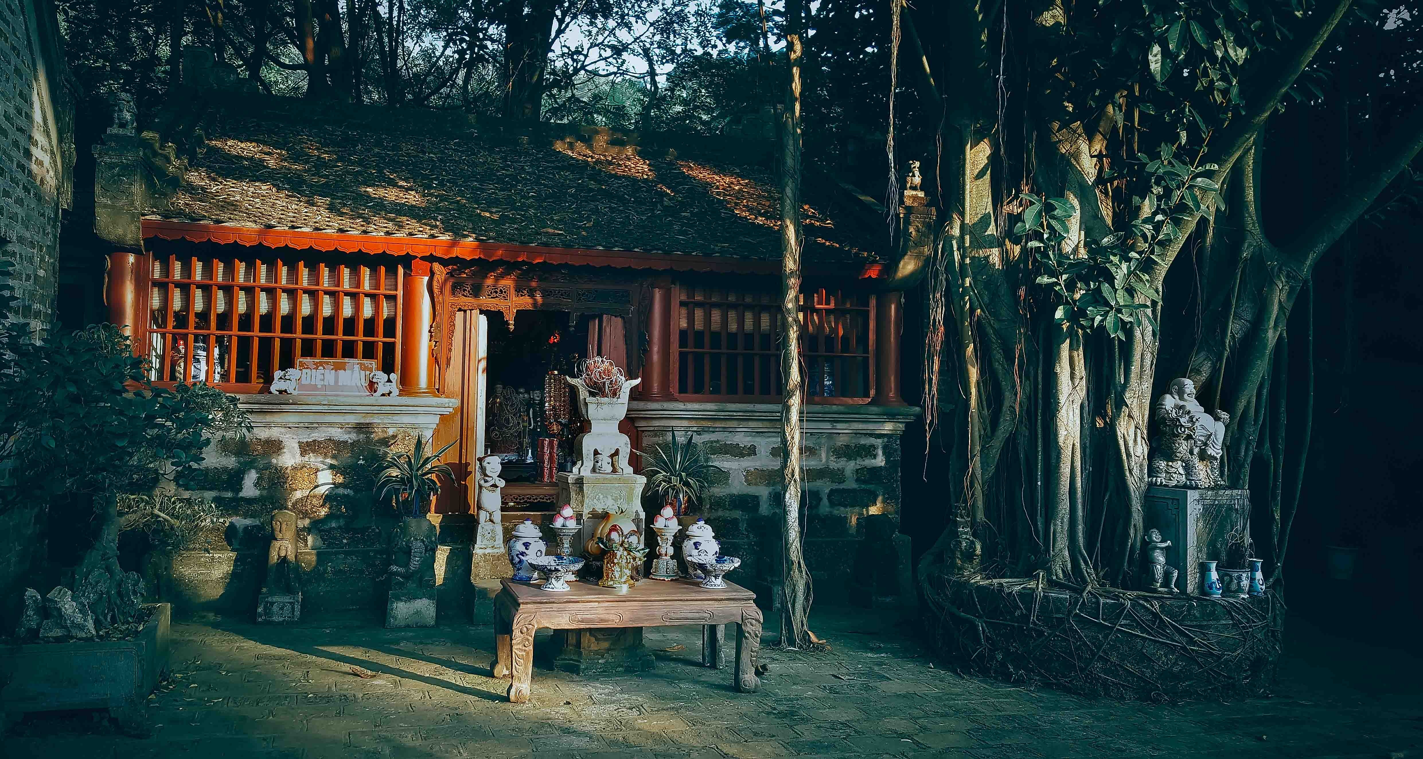 Viet Phu Thanh Chuong anh 19