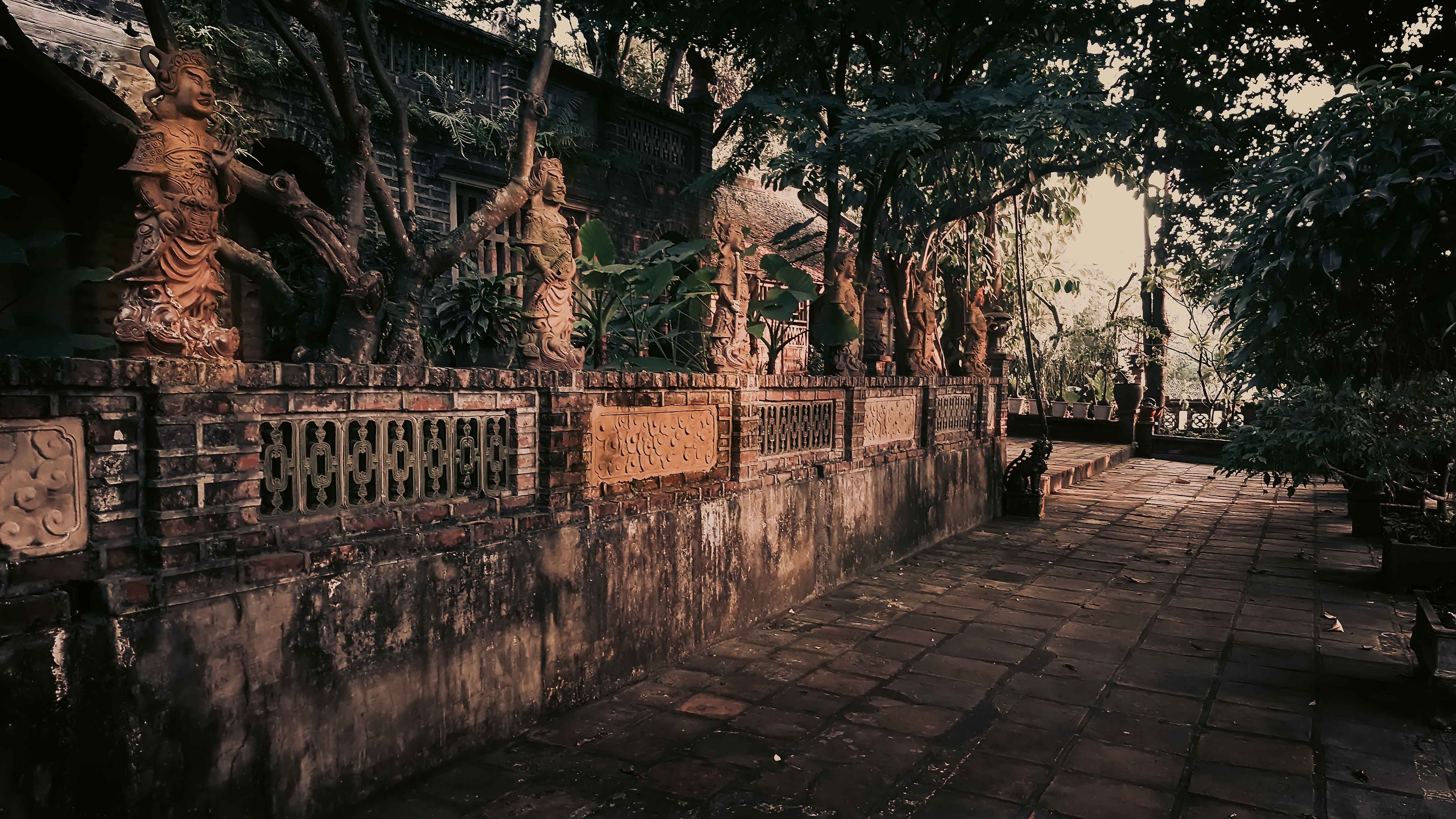 Viet Phu Thanh Chuong anh 22