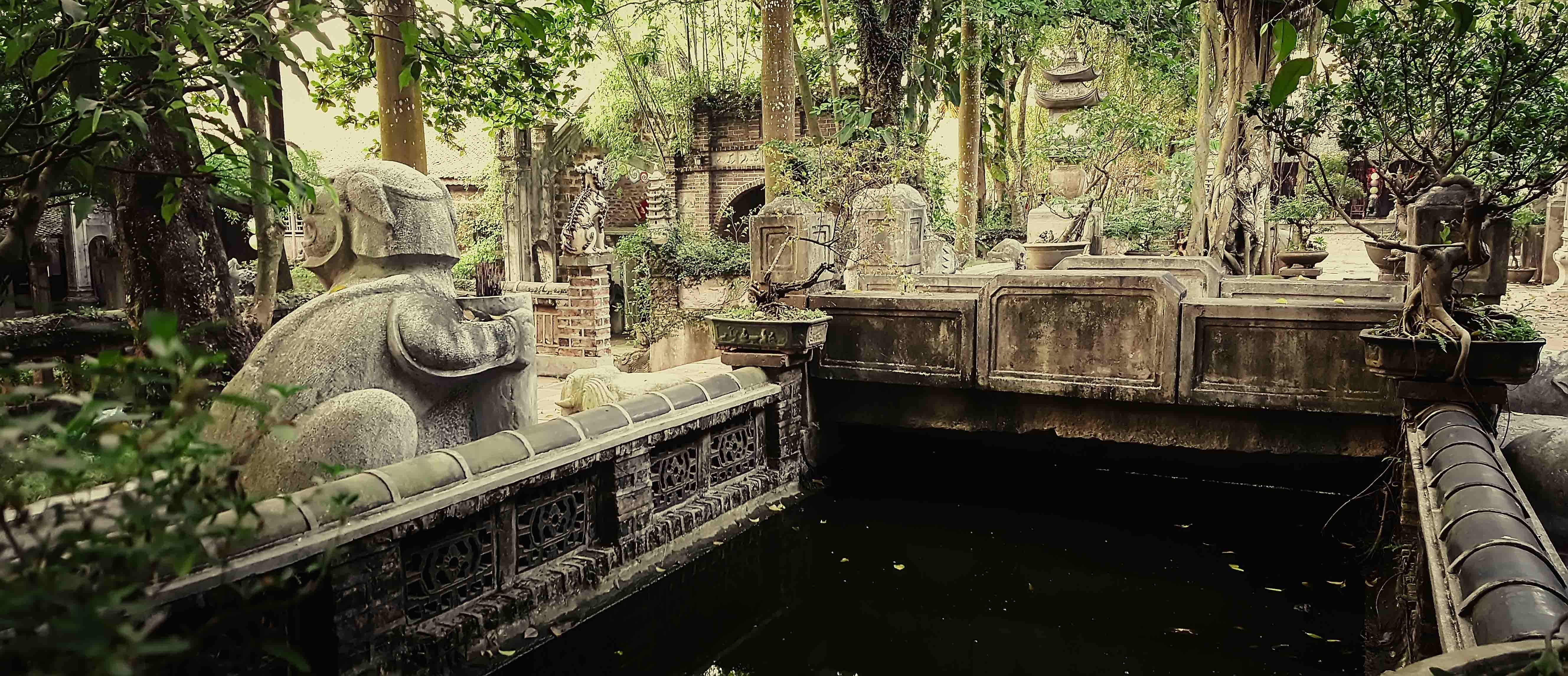 Viet Phu Thanh Chuong anh 3