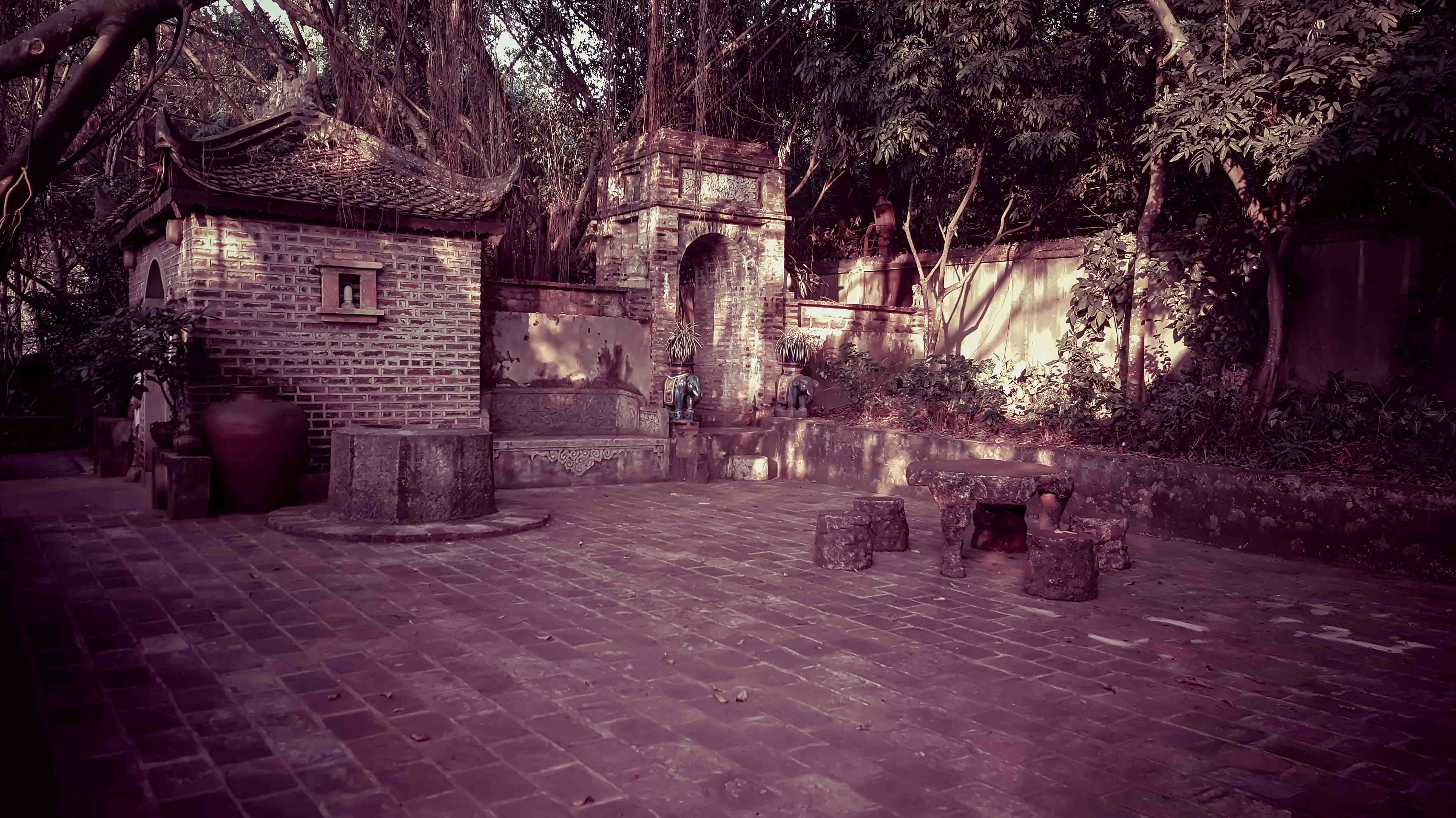 Viet Phu Thanh Chuong anh 4