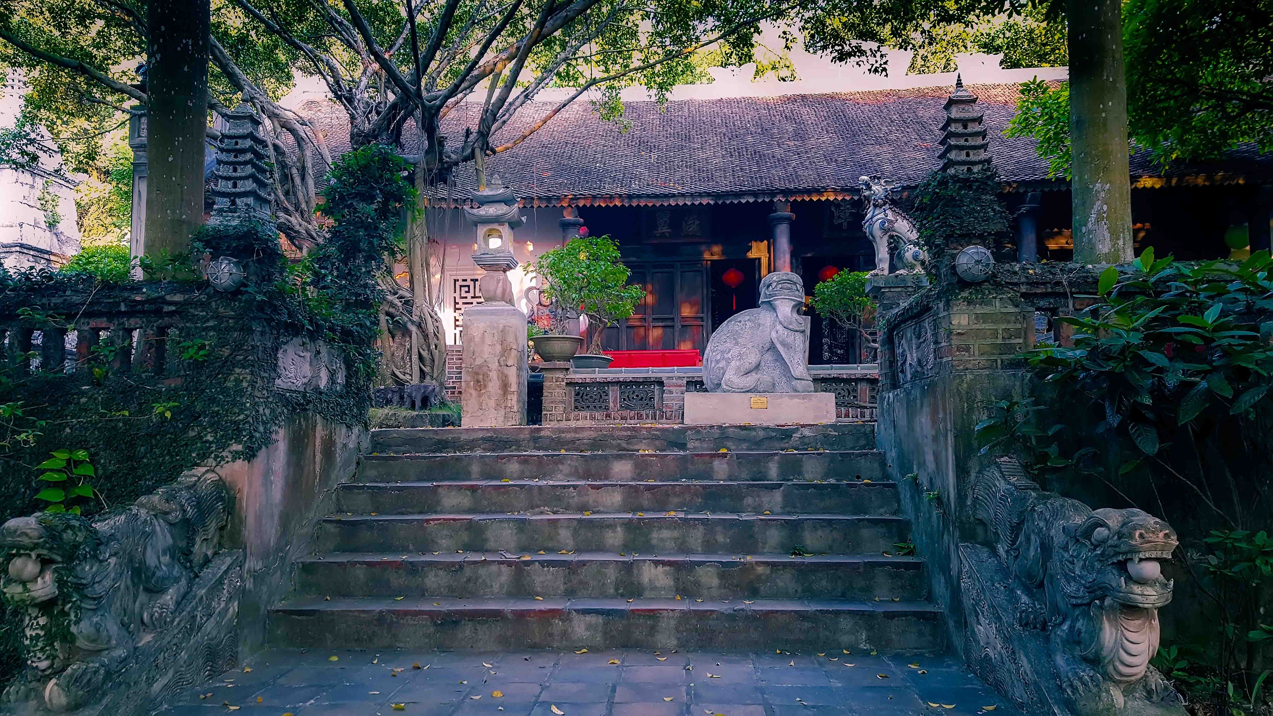 Viet Phu Thanh Chuong anh 9