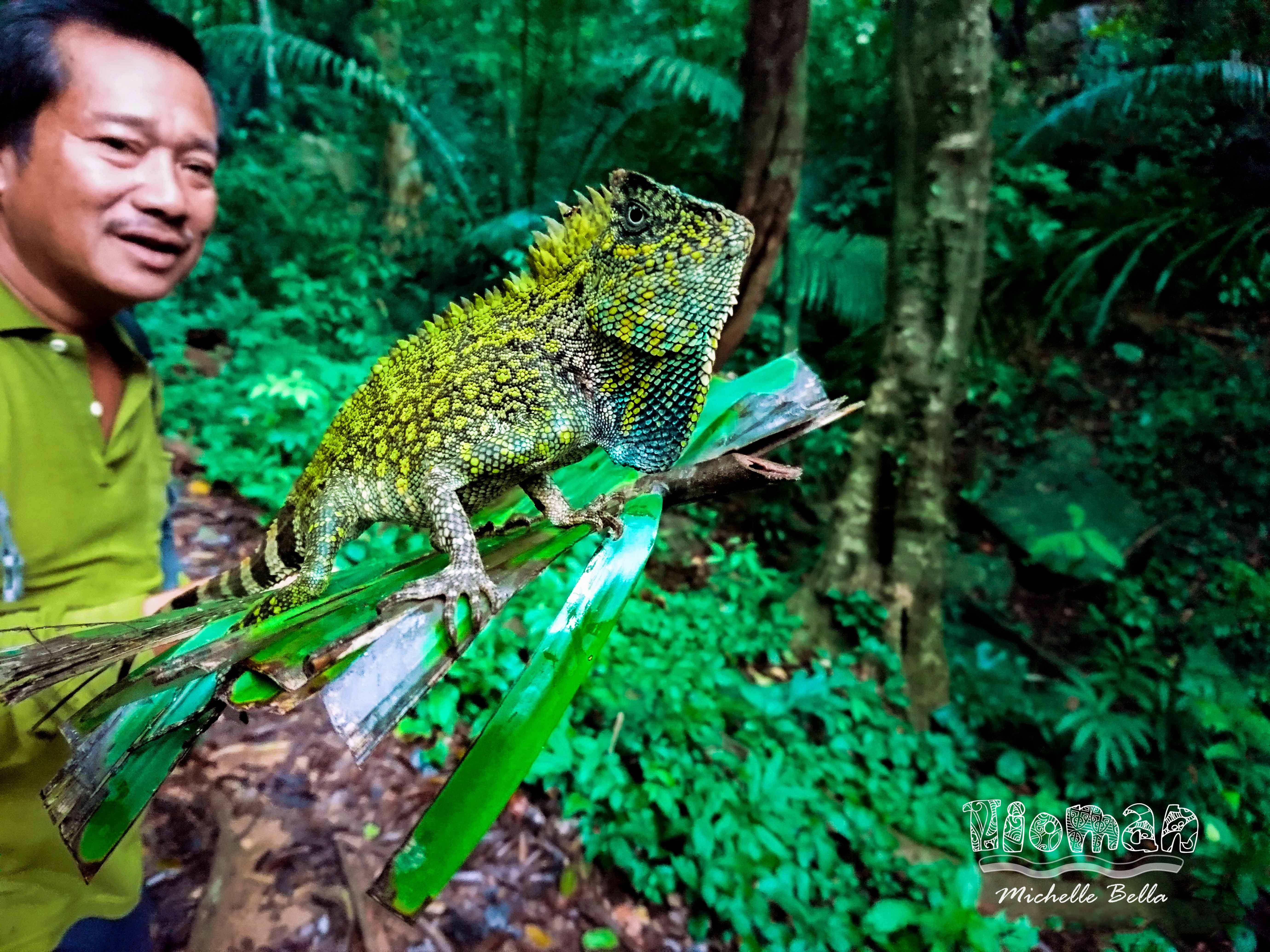 Du lich dao Tioman anh 10