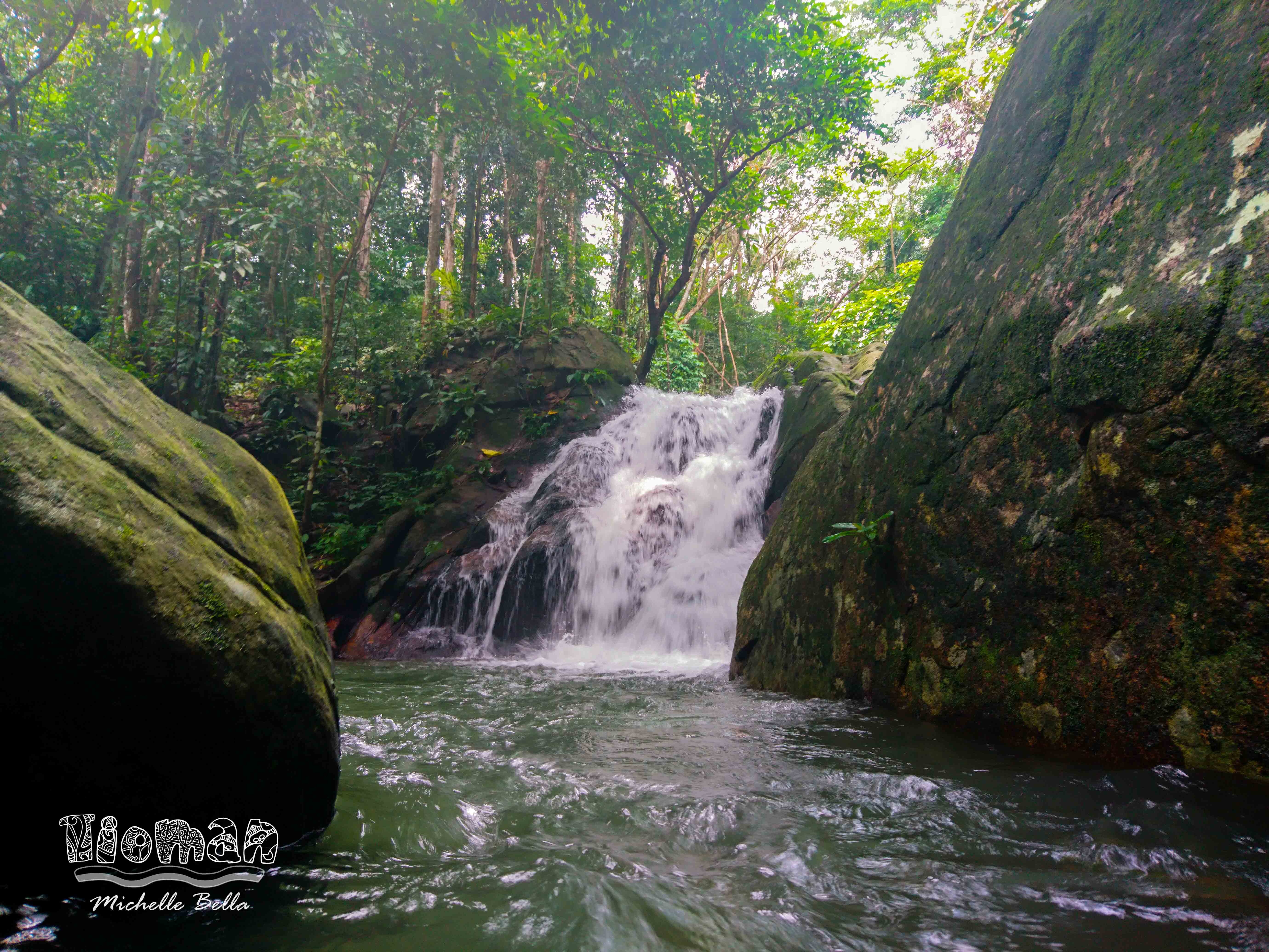 Du lich dao Tioman anh 11