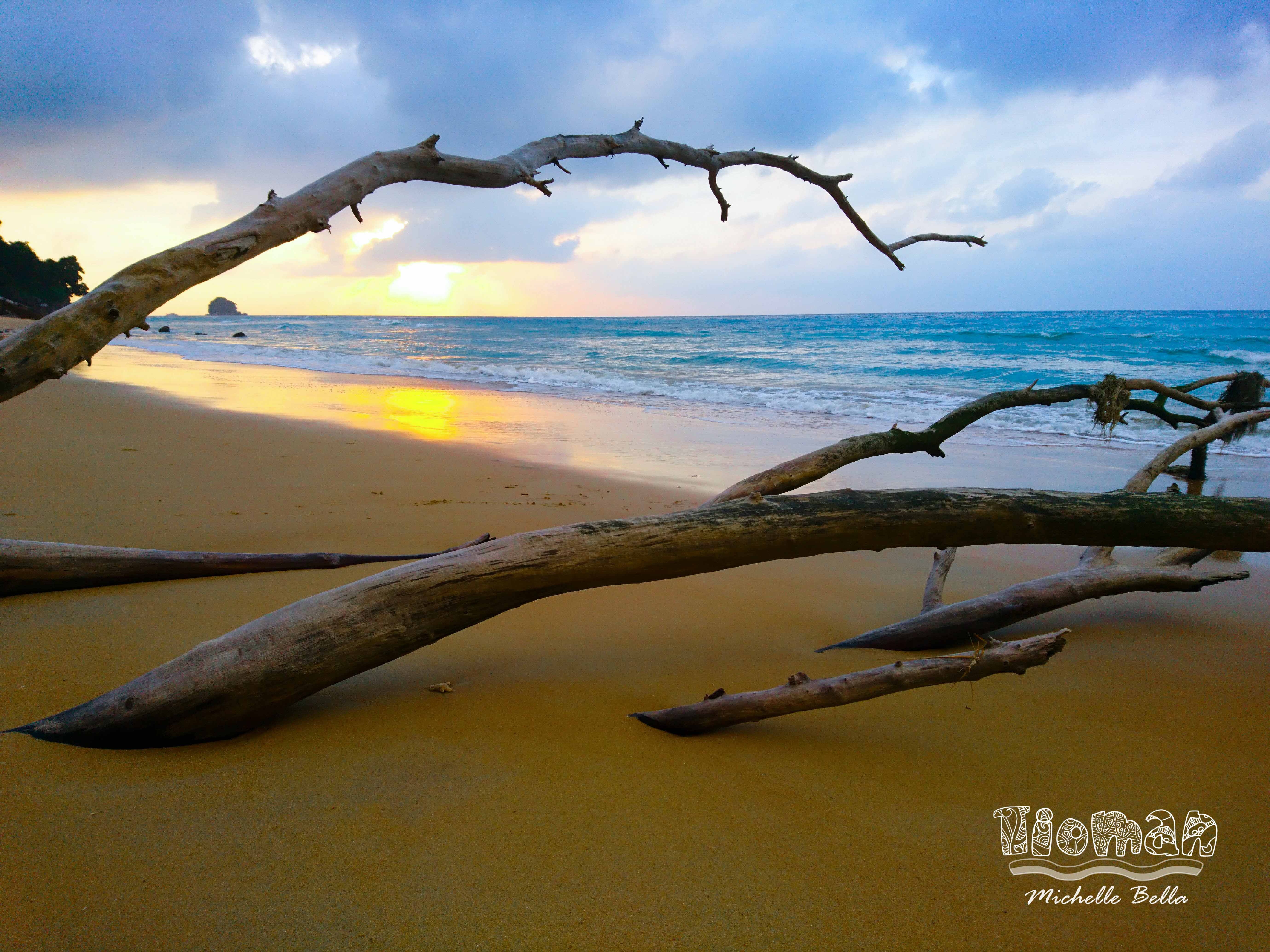 Du lich dao Tioman anh 7