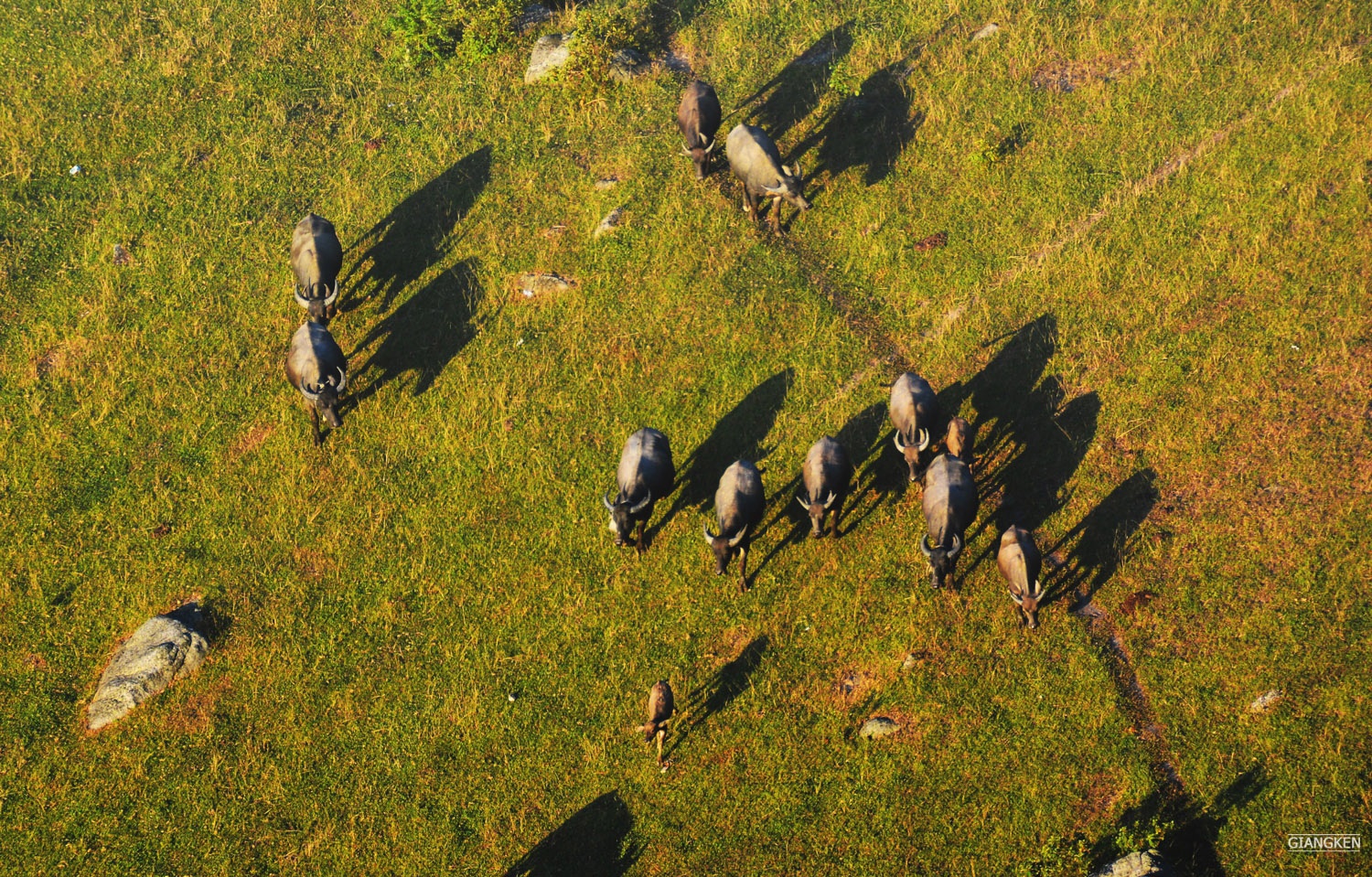 Du lich Dong Cao anh 11