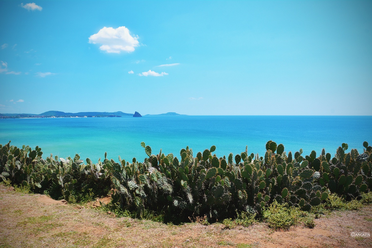 Ganh Ong Bai Xep anh 12