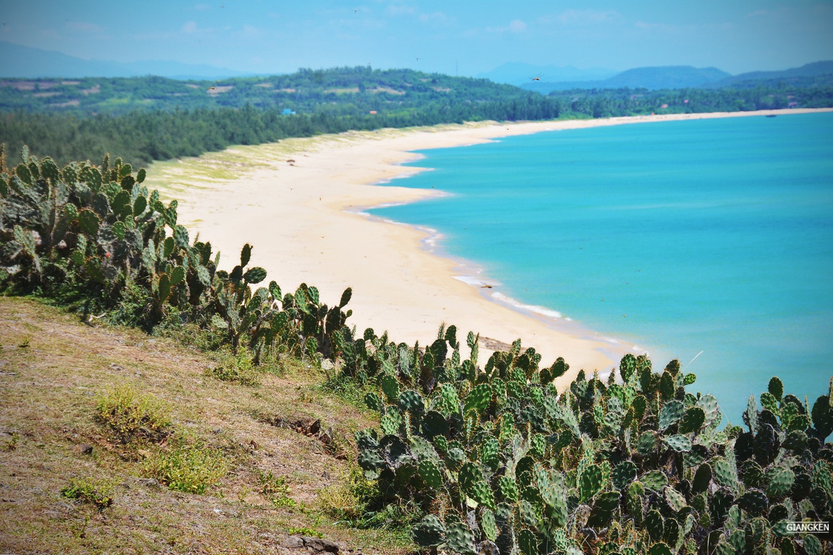 Ganh Ong Bai Xep anh 6