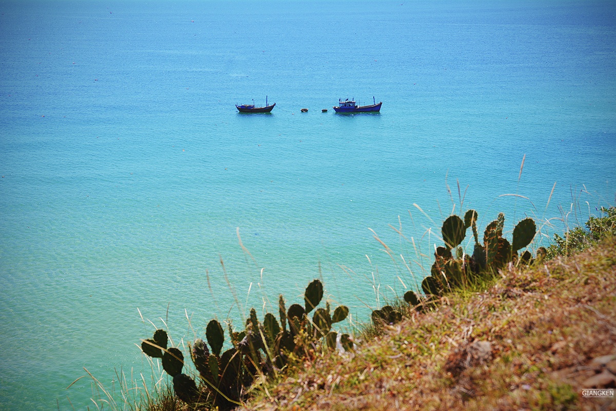 Ganh Ong Bai Xep anh 8