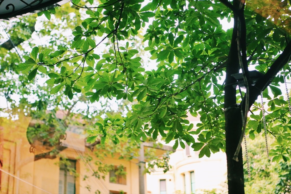 Ha Noi diu dang trong nang he anh 11