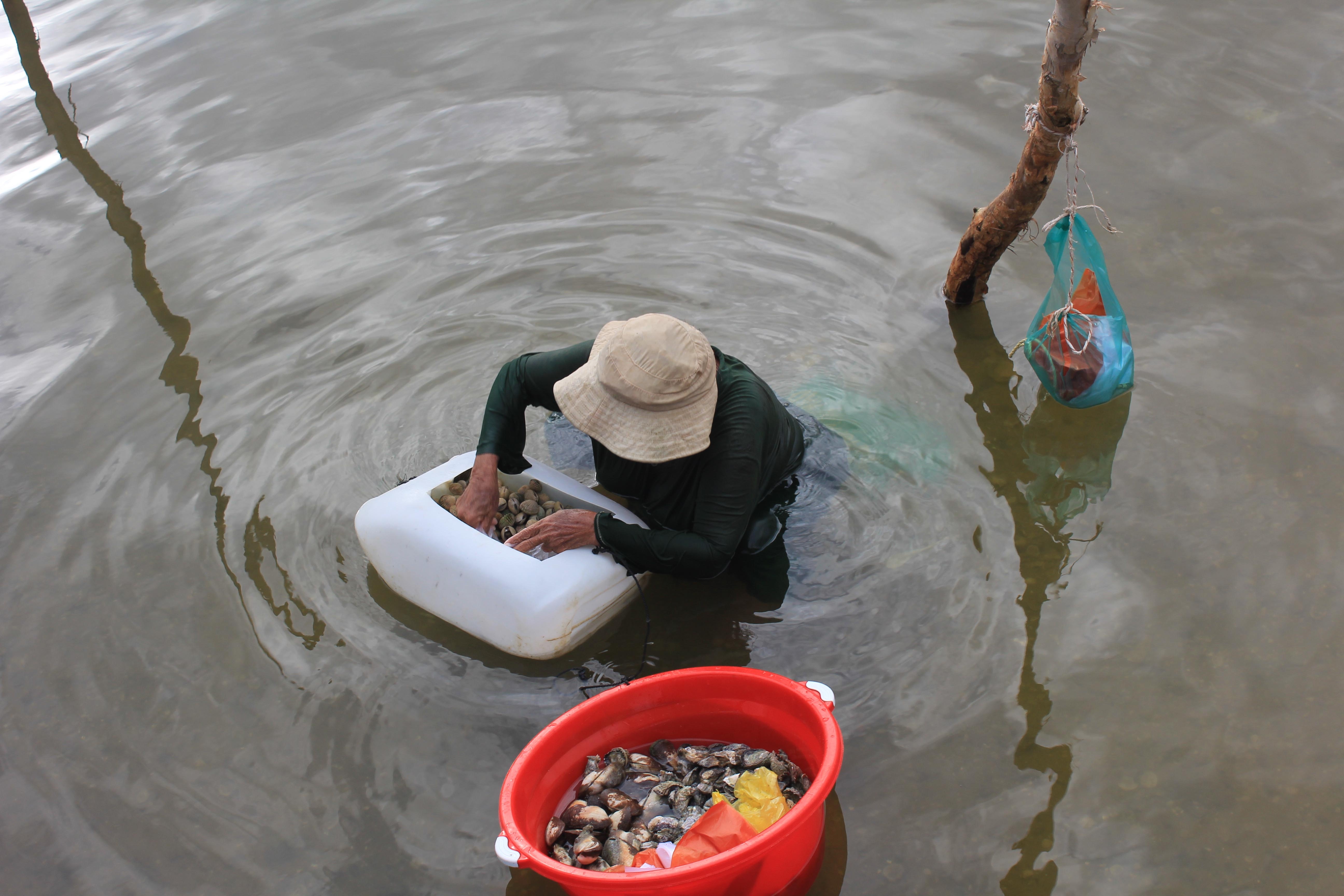 Phu Quoc tinh yeu va noi nho anh 13