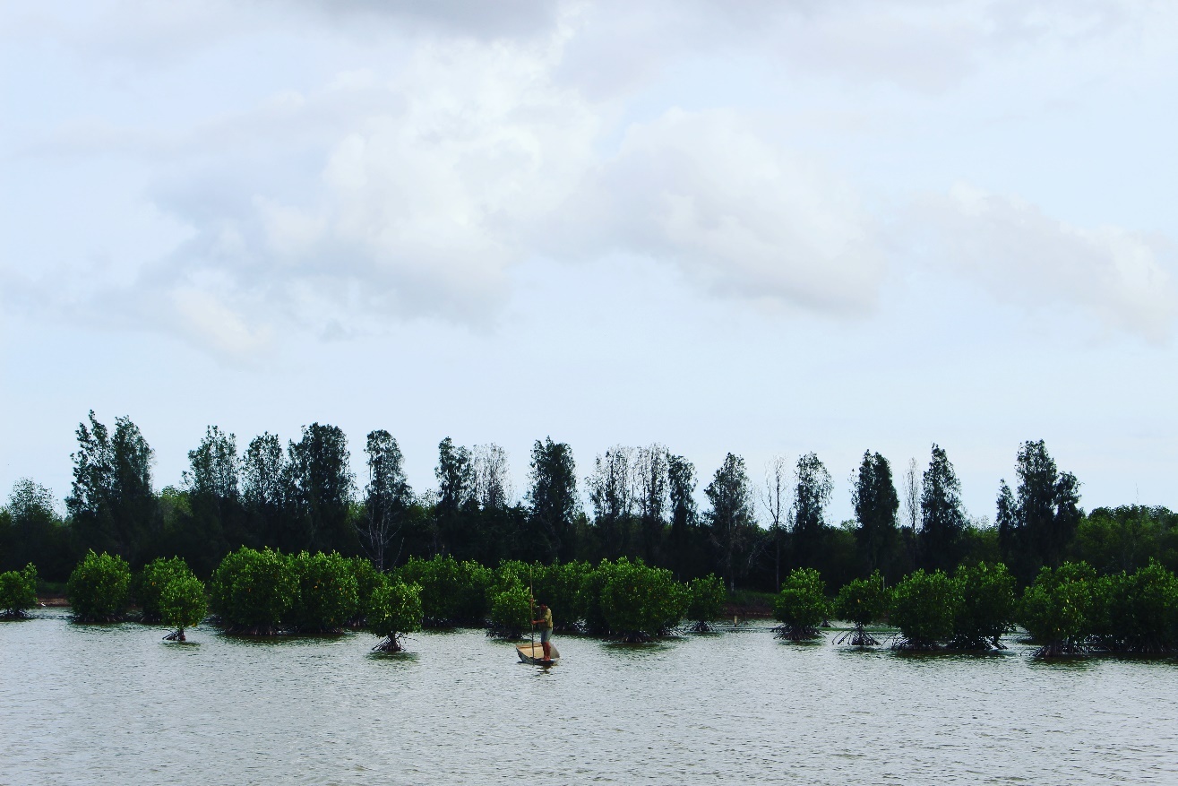 Du lich Bac Lieu anh 3