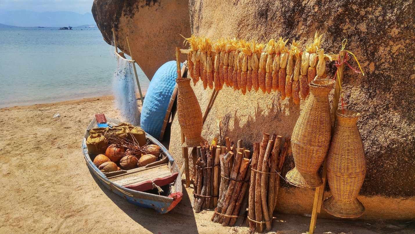 Cung duong bien Nam Trung Bo anh 11