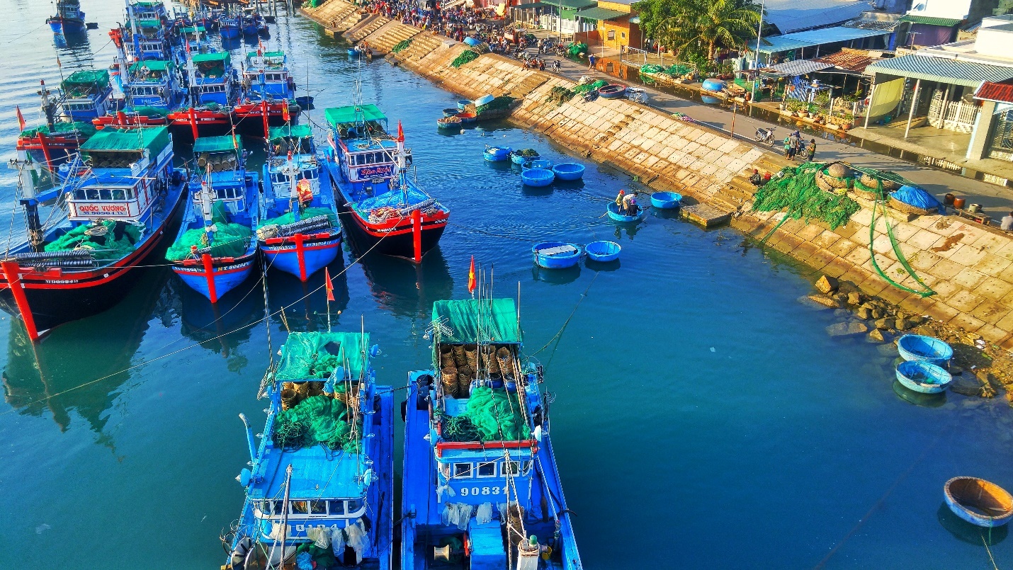 Cung duong bien Nam Trung Bo anh 2