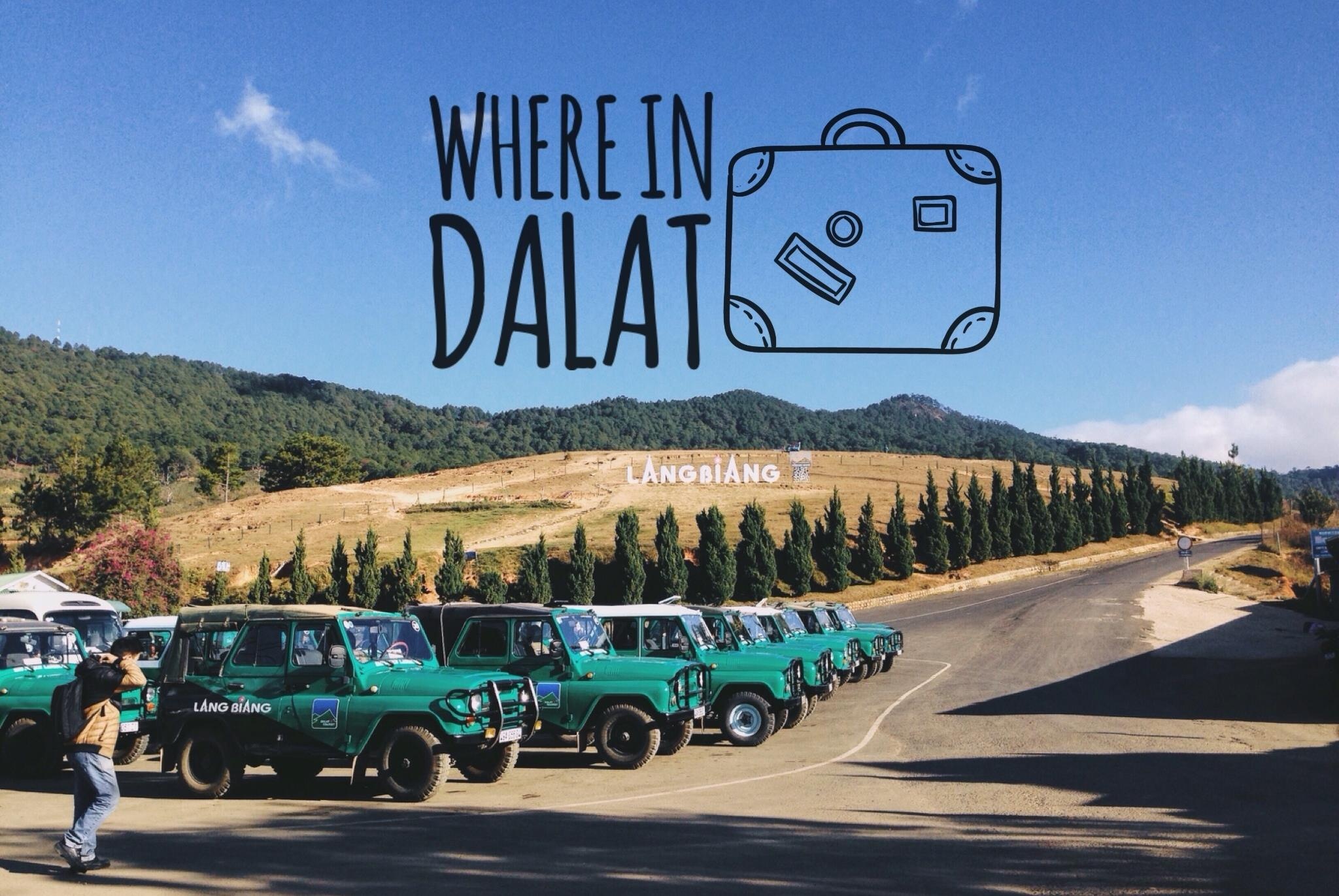 Da Lat vua la vua quen anh 3