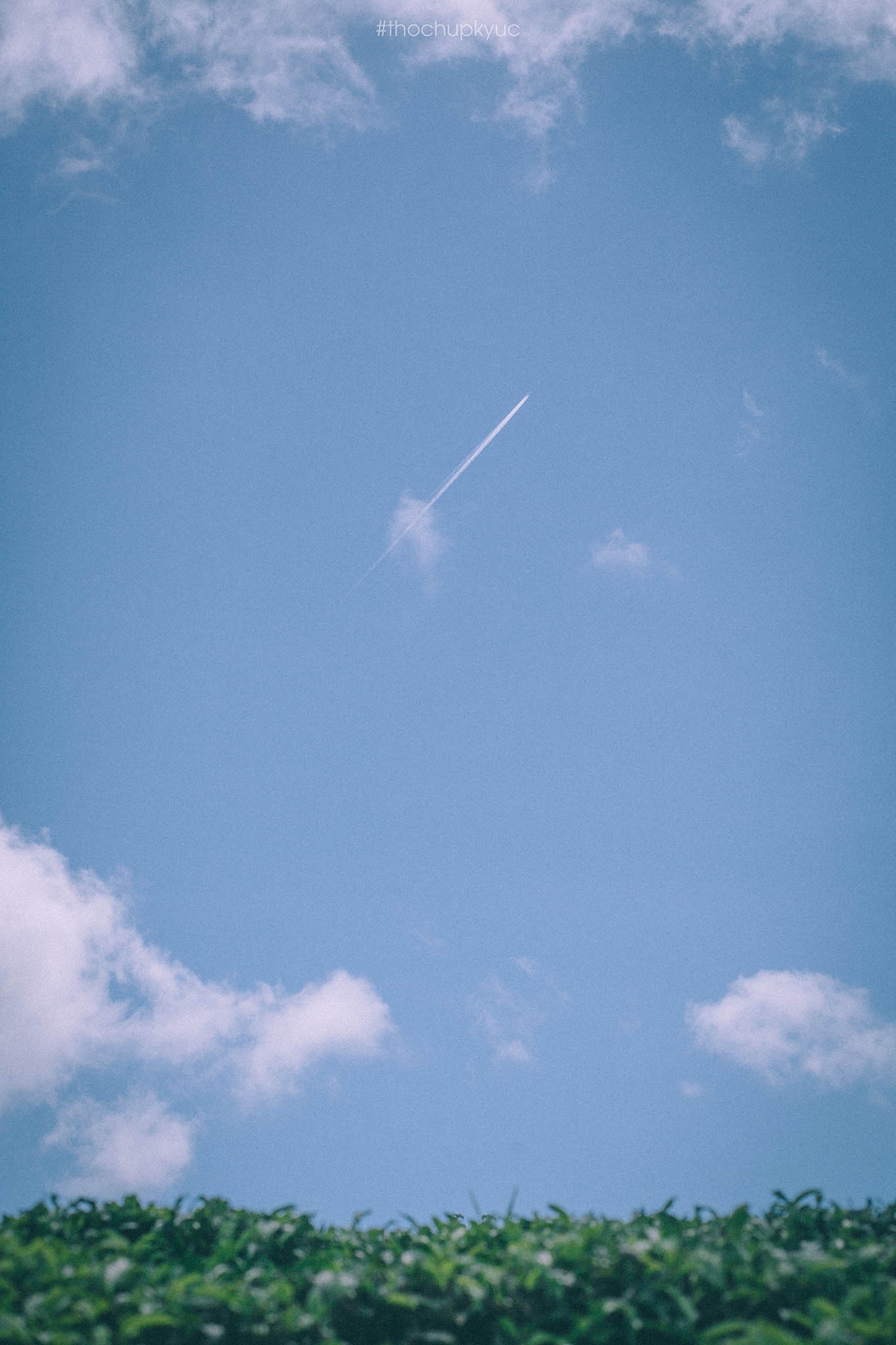 Doi che Cau Dat anh 11