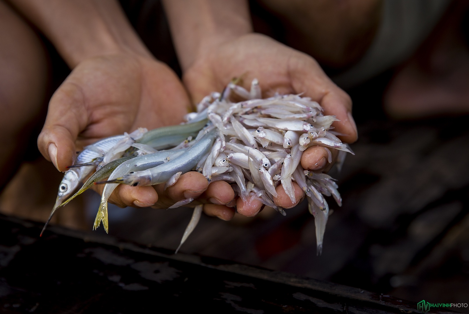 Lang chai song Dong Nai anh 14