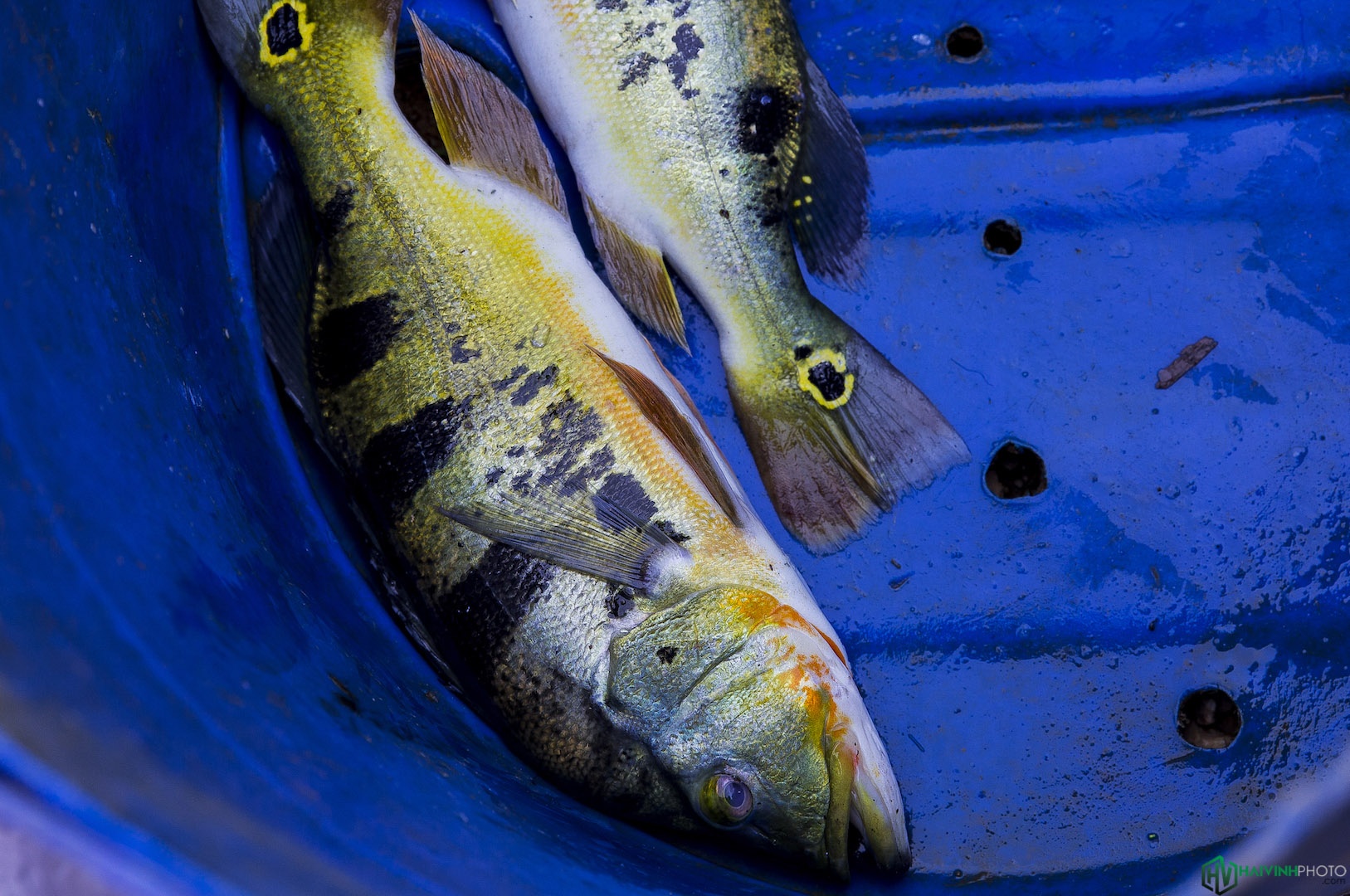 Lang chai song Dong Nai anh 15