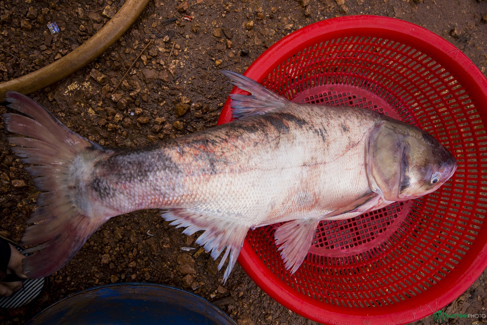 Lang chai song Dong Nai anh 20