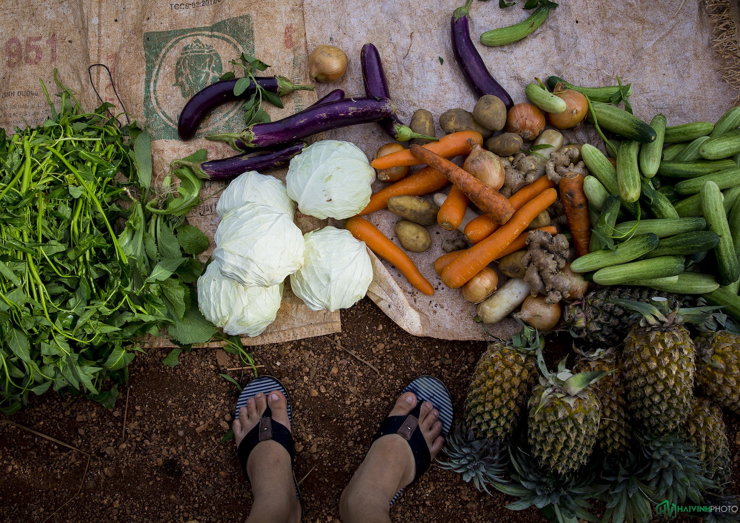 Lang chai song Dong Nai anh 22