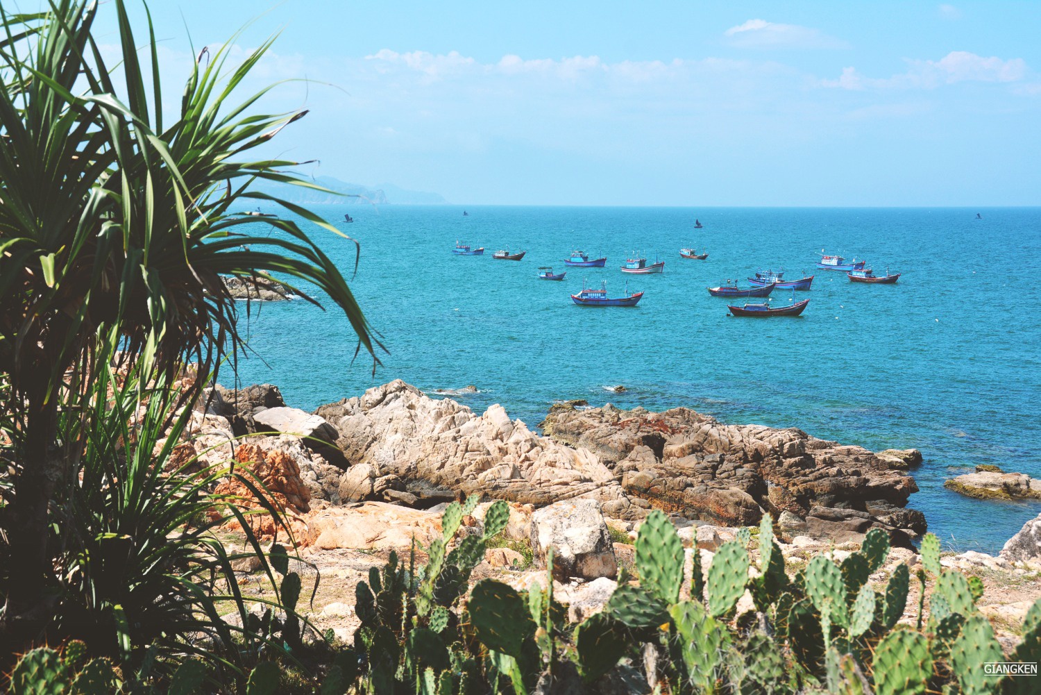 Cung duong bien Nam Trung Bo anh 18