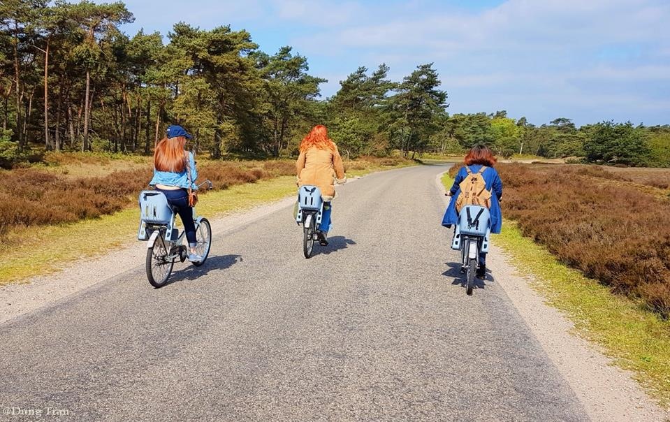 Dat nuoc thien duong anh 8