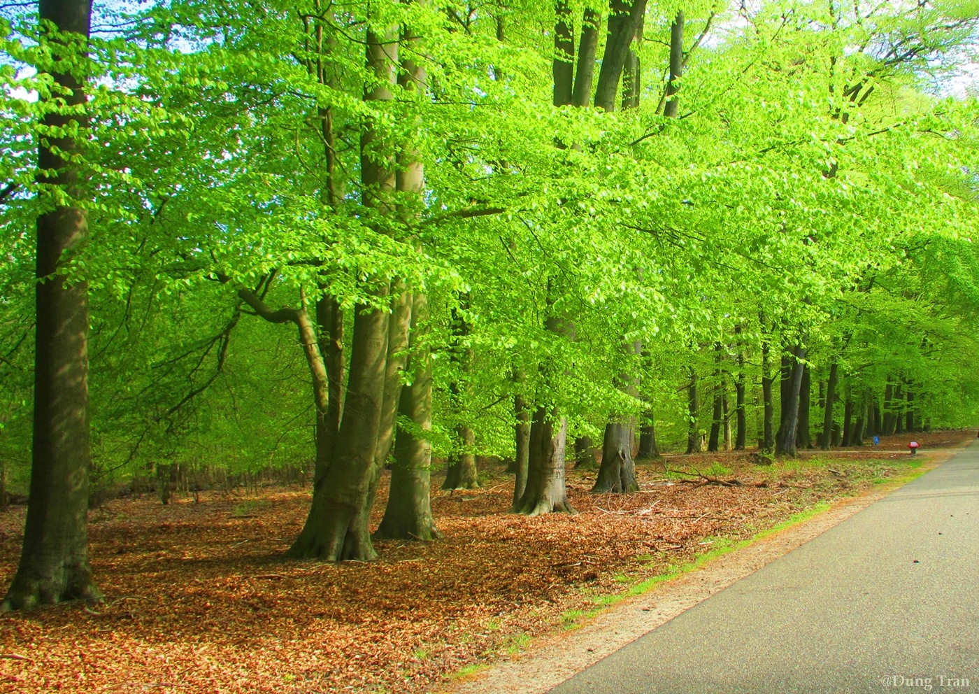 Dat nuoc thien duong anh 9