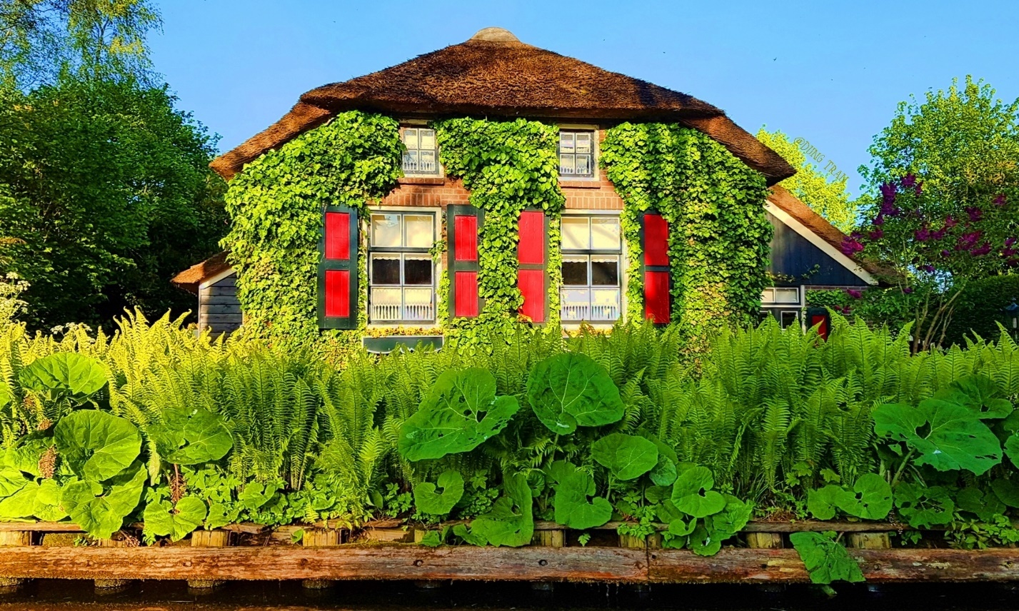 Dat nuoc thien duong anh 10