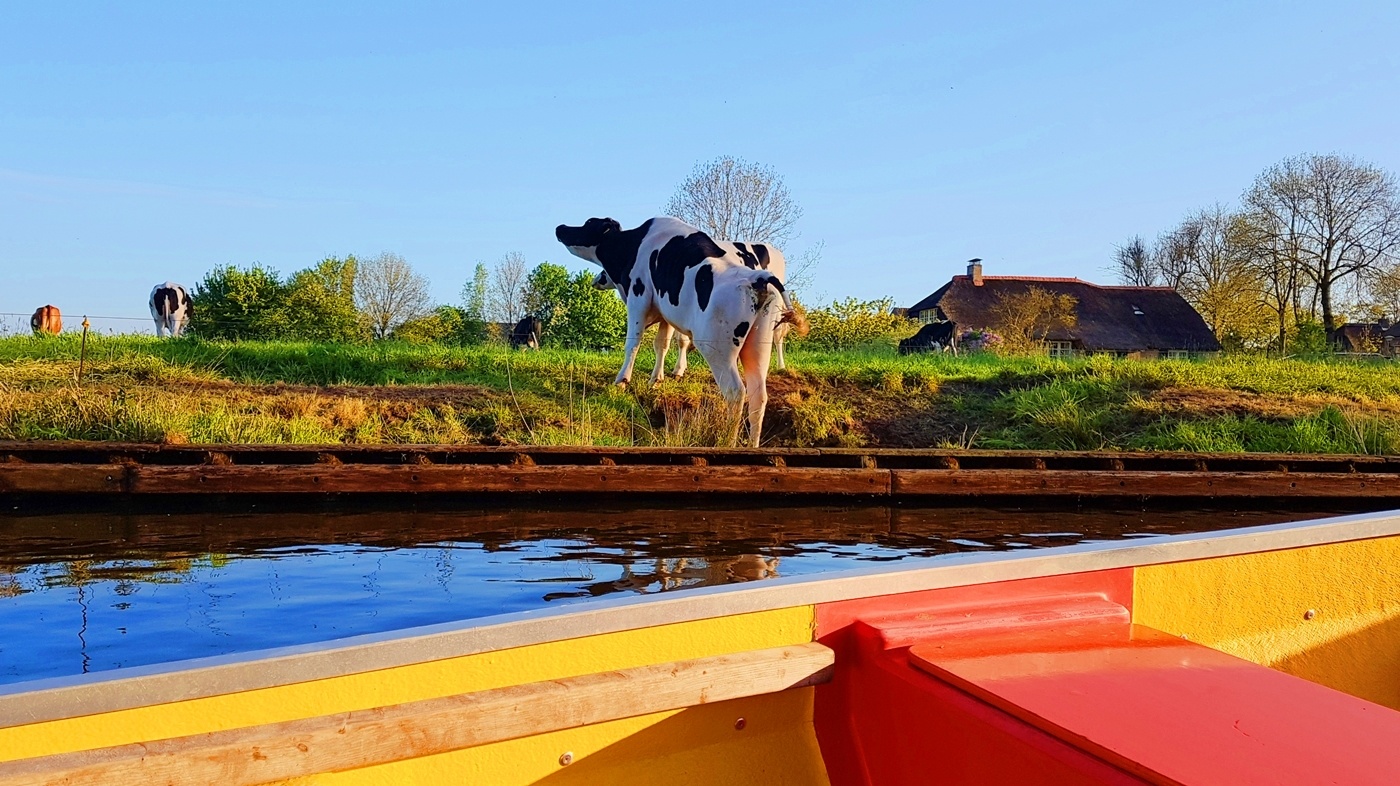 Dat nuoc thien duong anh 14