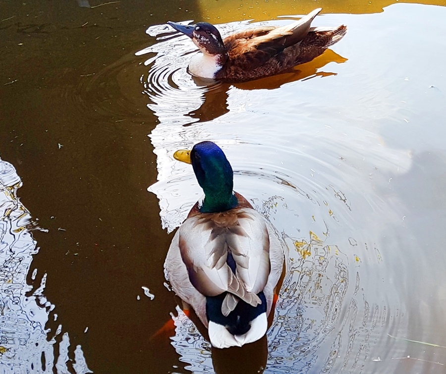 Ngoi lang co tich dep nhat the gioi anh 4