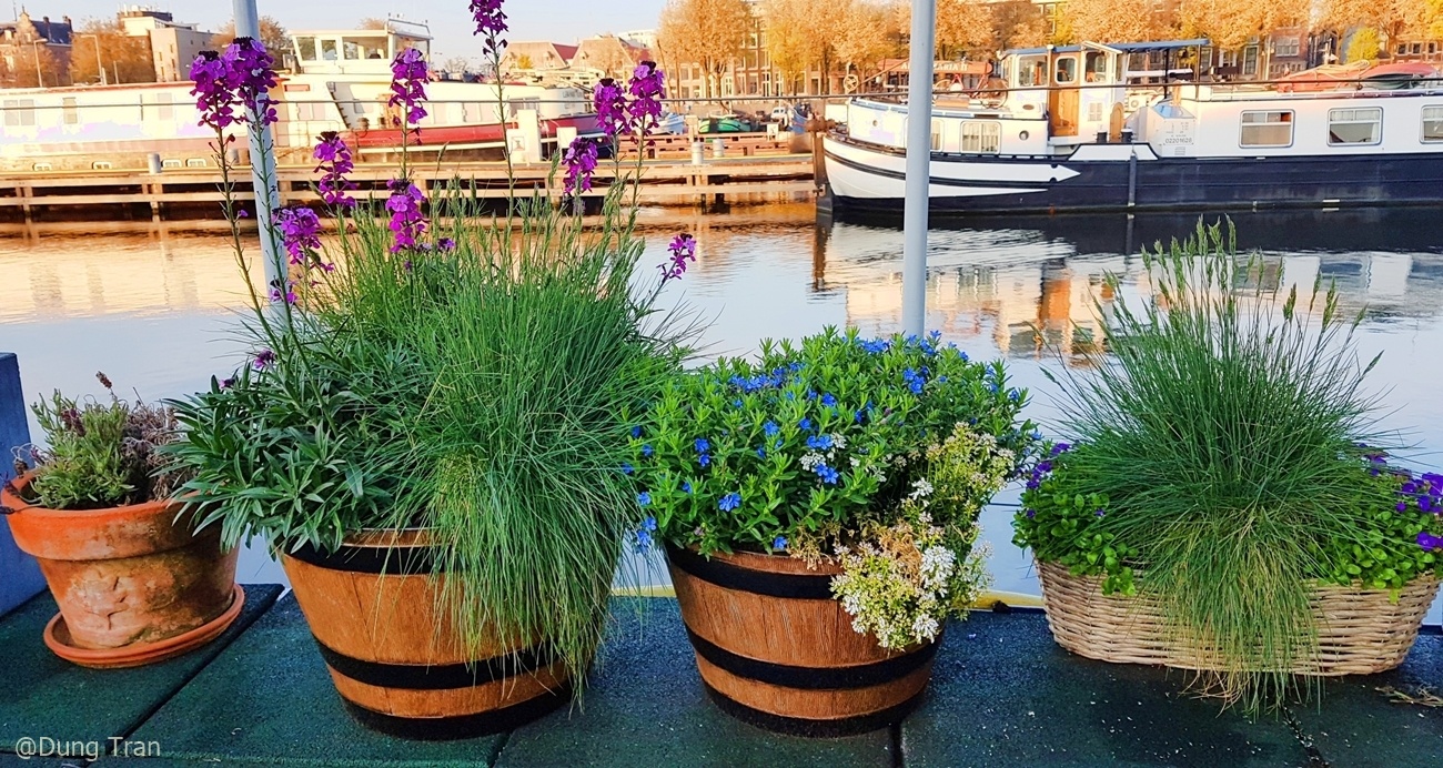 Dat nuoc thien duong anh 25