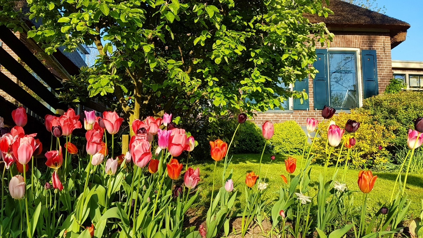 Ngoi lang co tich dep nhat the gioi anh 6