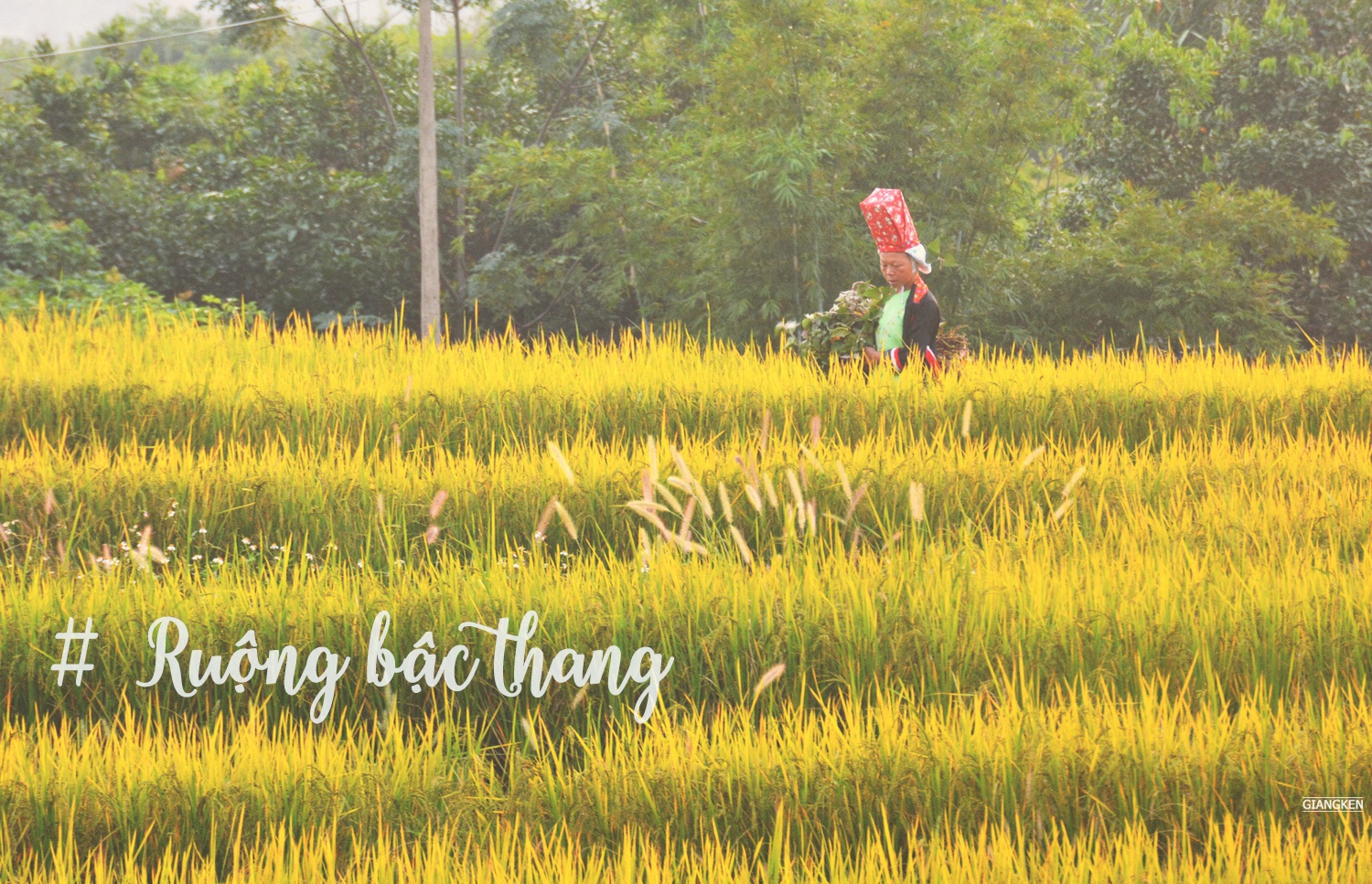 Check in Binh Lieu anh 10