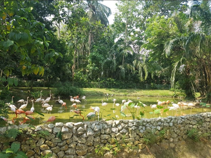 Du lich Kuala Lumpur anh 7