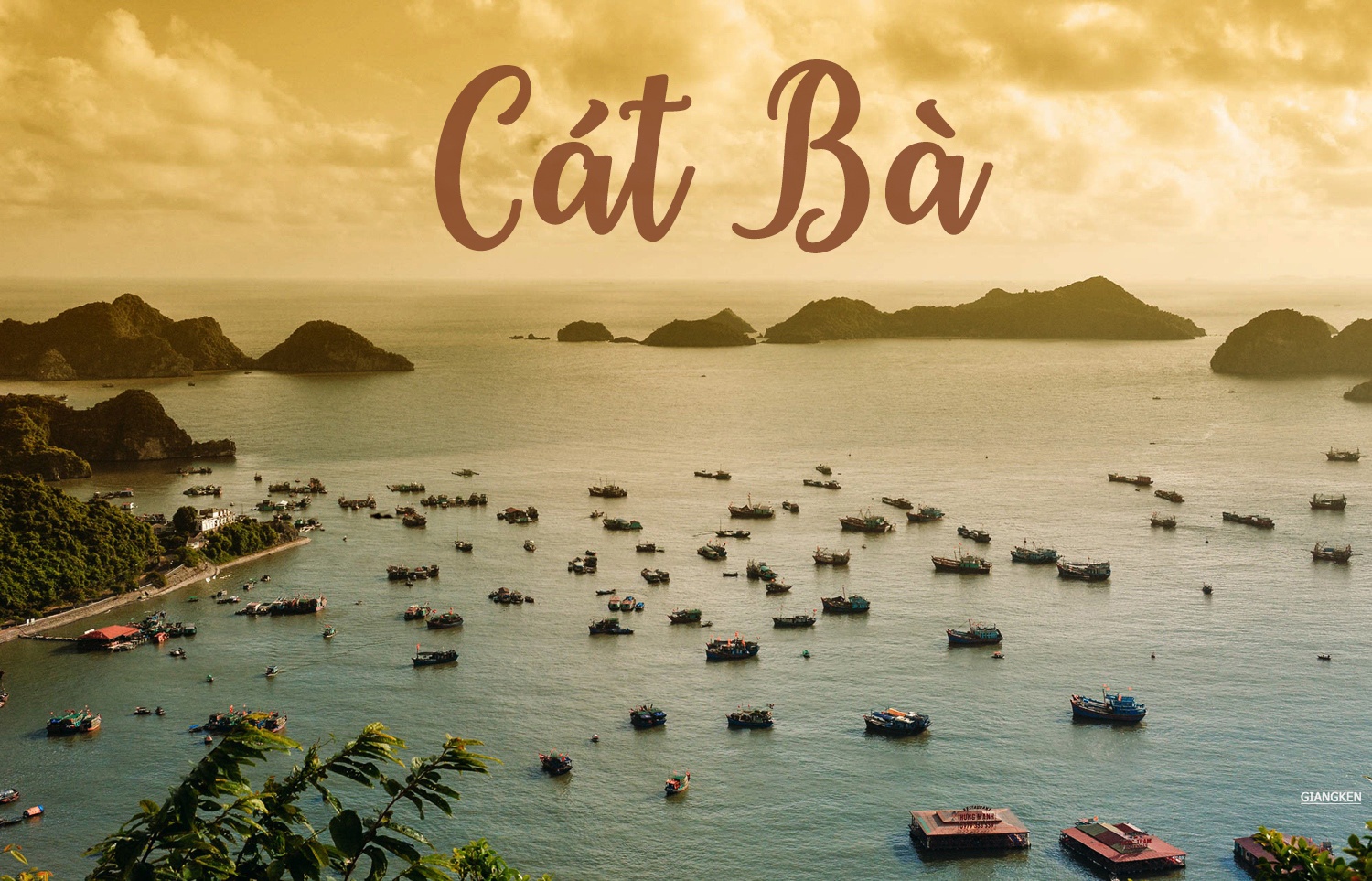 Cuoi tuan len rung xuong bien o Cat Ba hinh anh