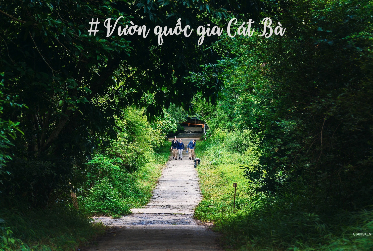 Du lịch đảo Cát Bà ảnh 14 Du lich dao Cat Ba anh 14