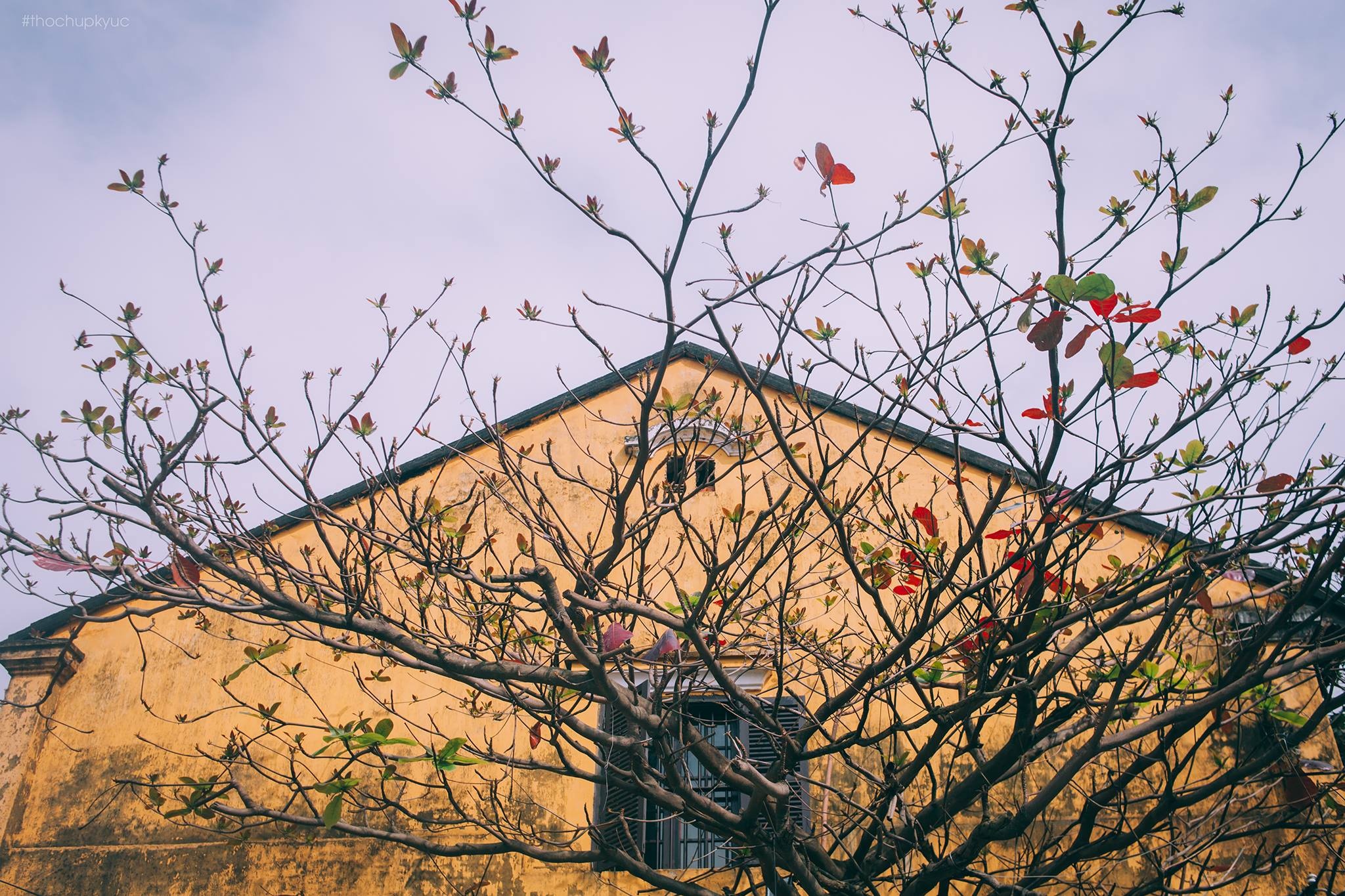 Lac loi o Hoi An anh 3