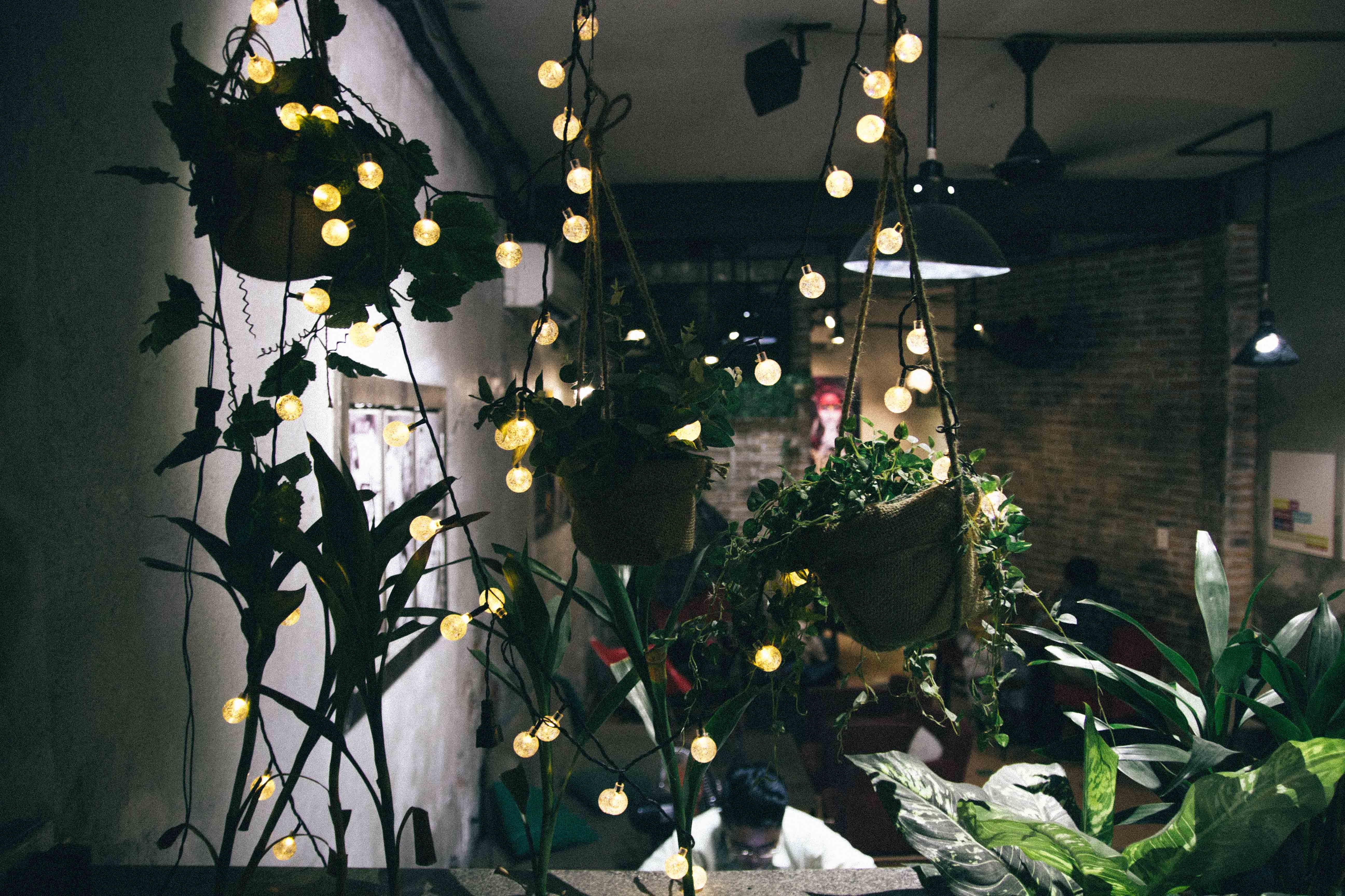 Quan ca phe cho cac thanh song ao anh 3