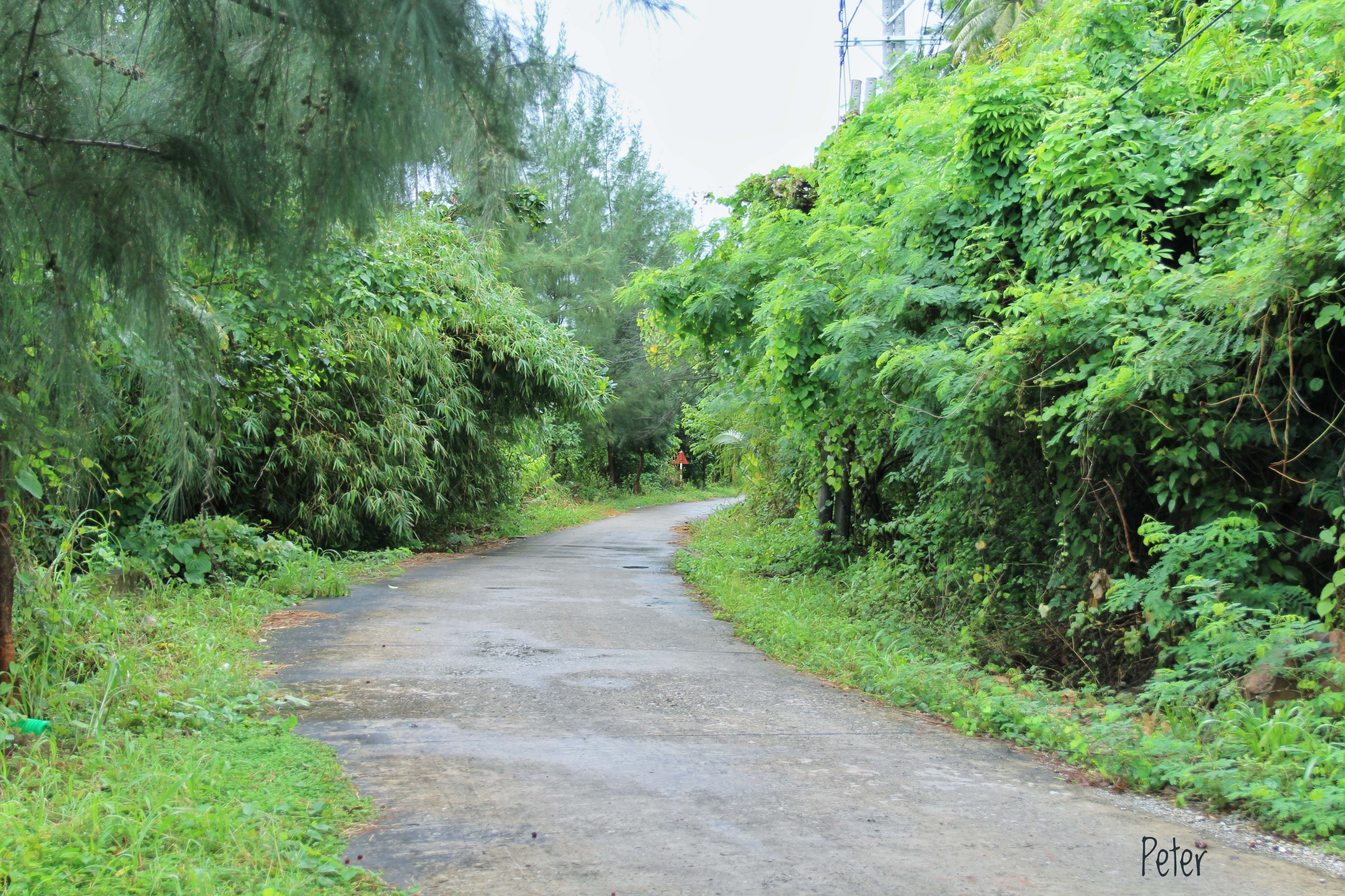 Du lich Hon Son anh 3