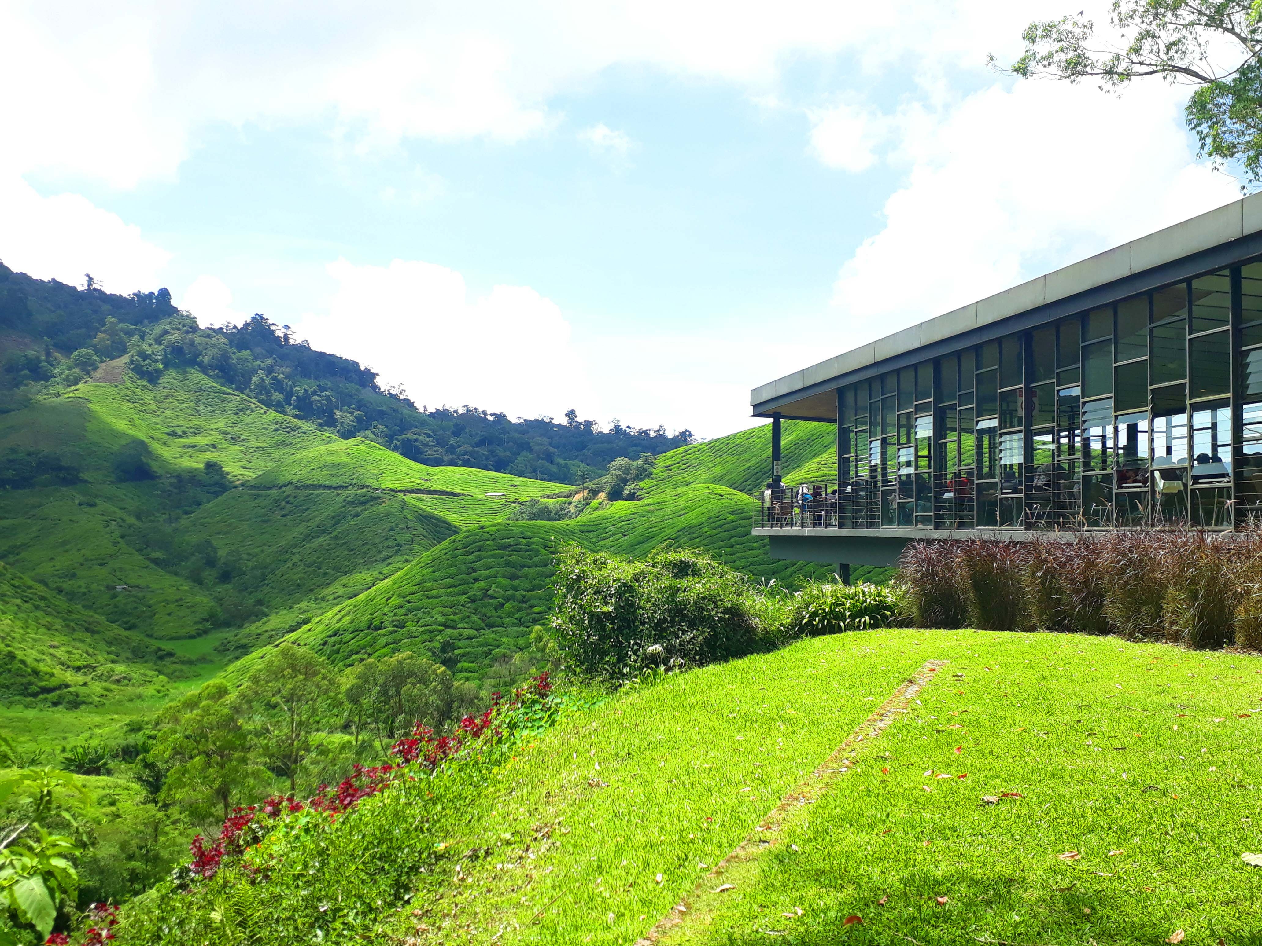 Du ngoạn đất nước Malaysia ảnh 3 Du ngoan dat nuoc Malaysia anh 3