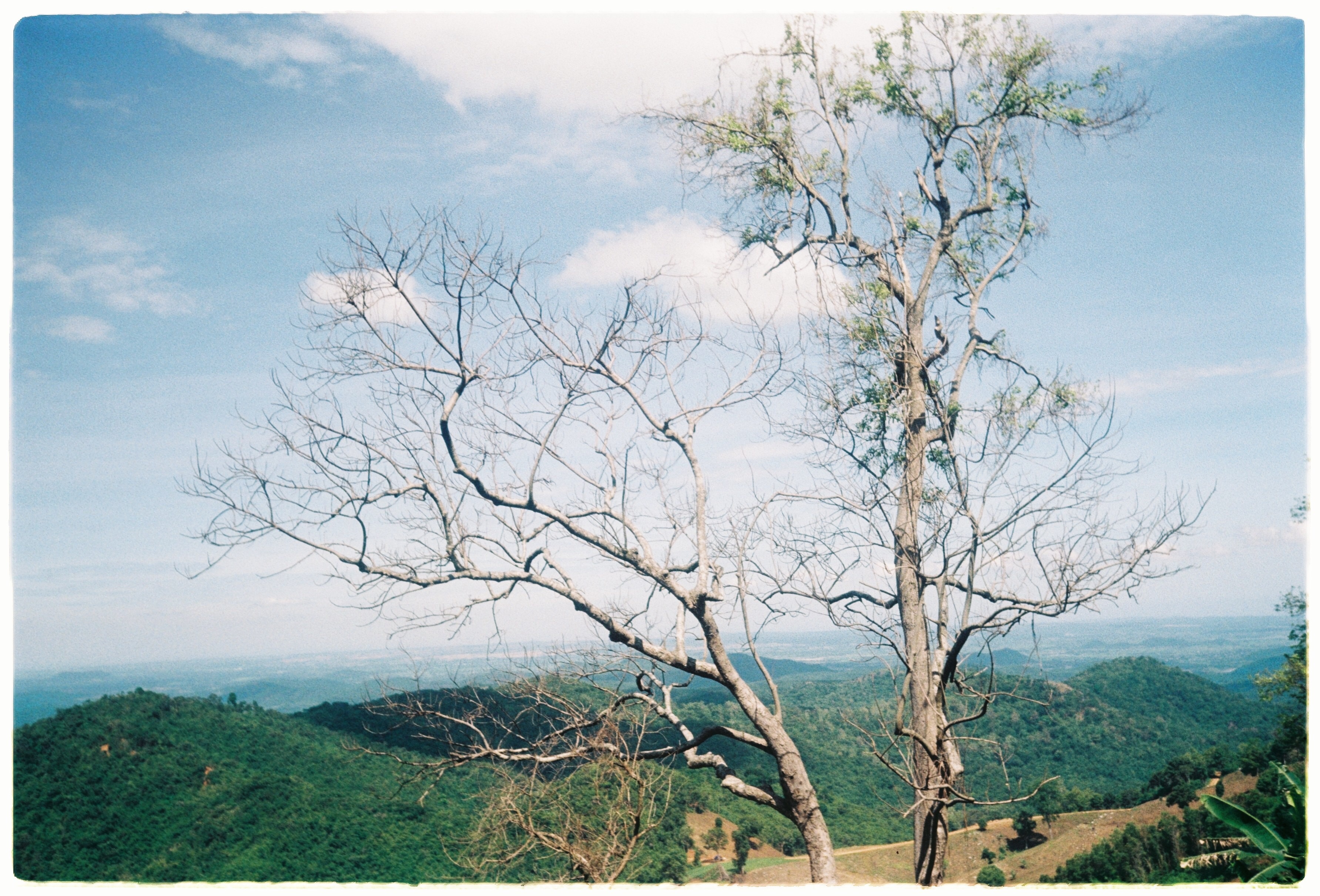 Di Linh tuyet dep qua nhung thuoc phim anh 8