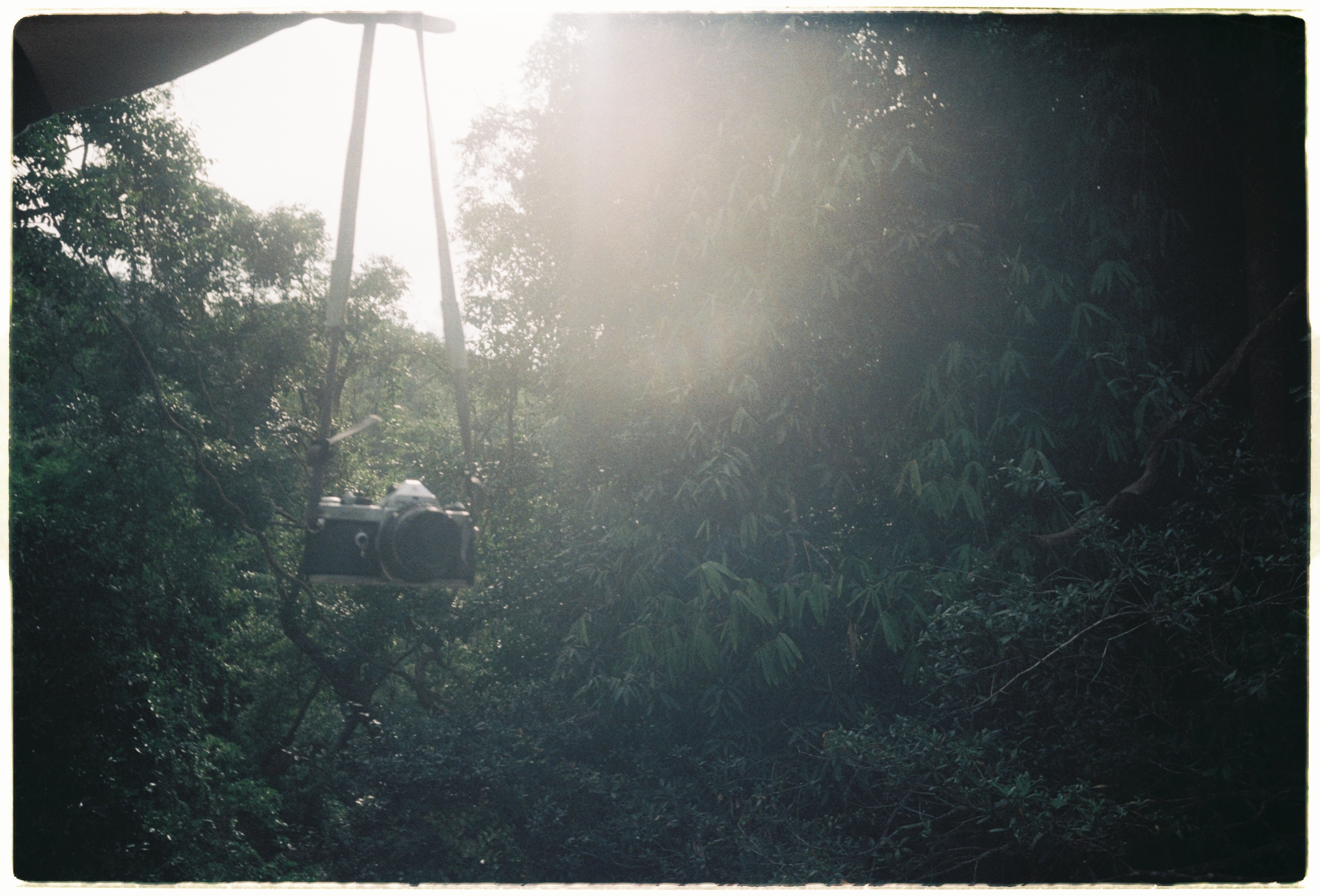 Di Linh tuyet dep qua nhung thuoc phim anh 10